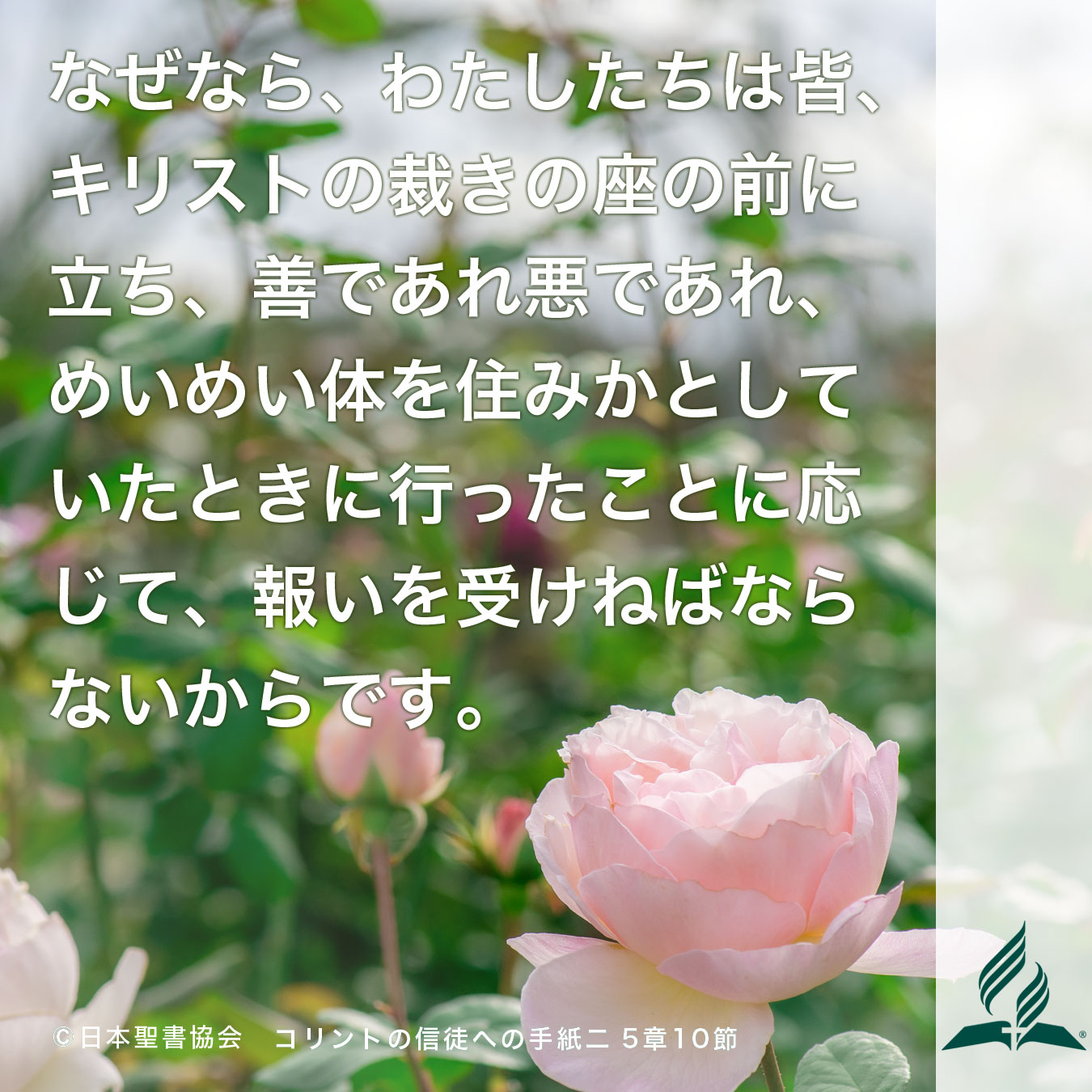 今週の暗唱聖句をお届けします