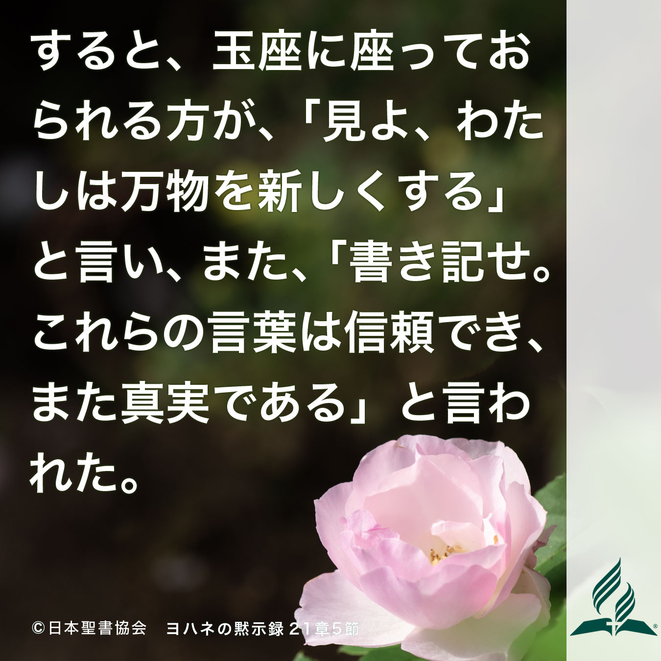 今週の暗唱聖句をお届けします