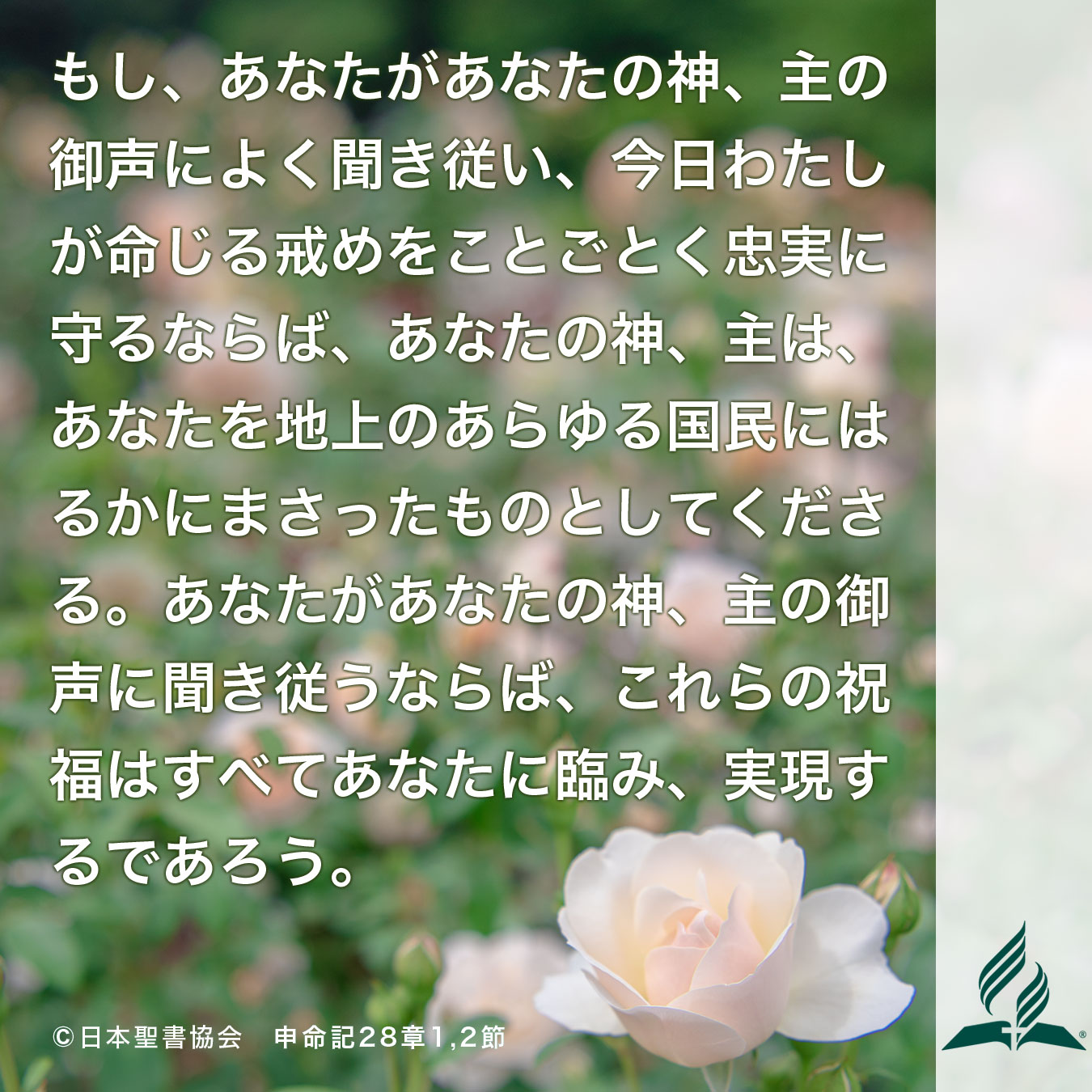 今週の暗唱聖句をお届けします
