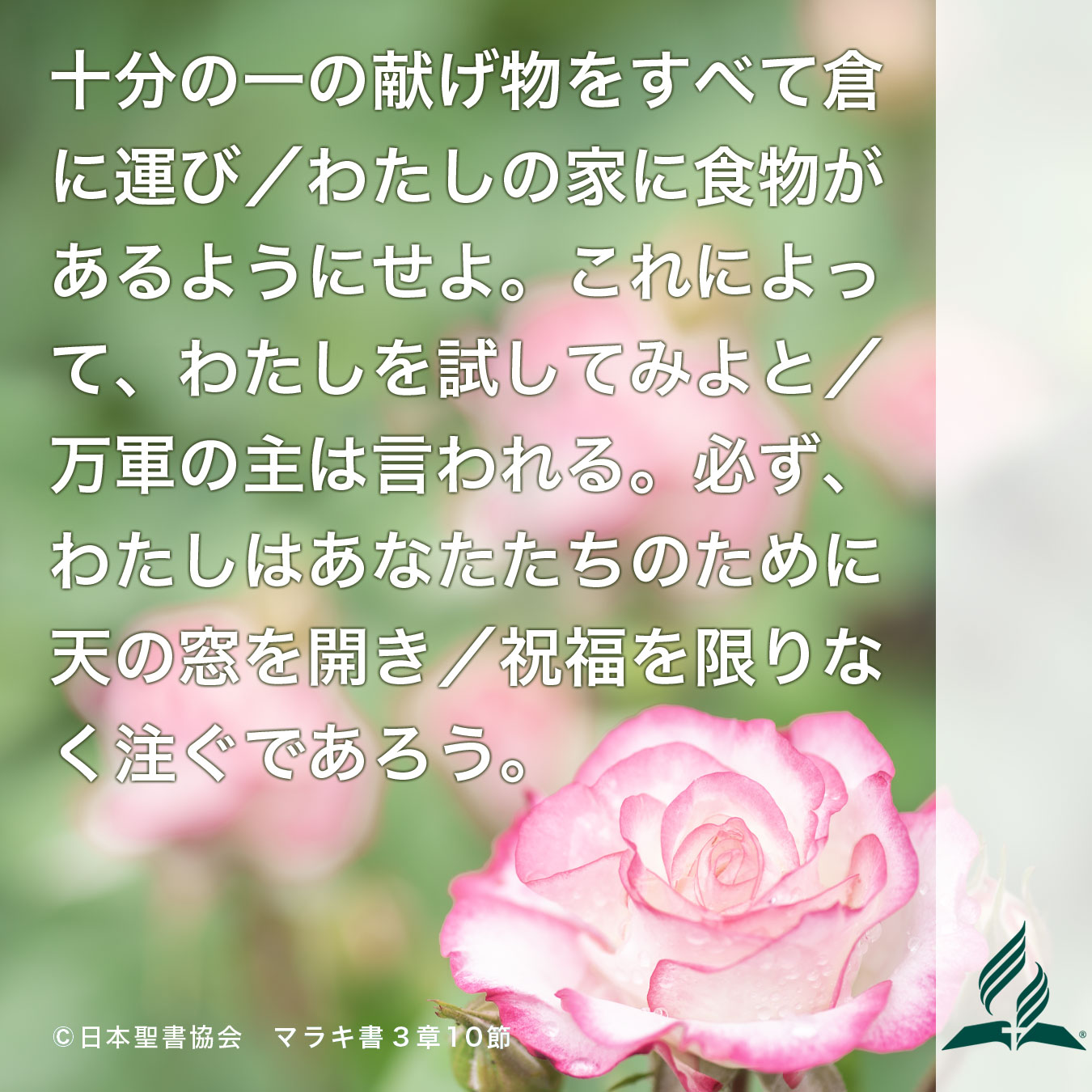 今週の暗唱聖句をお届けします