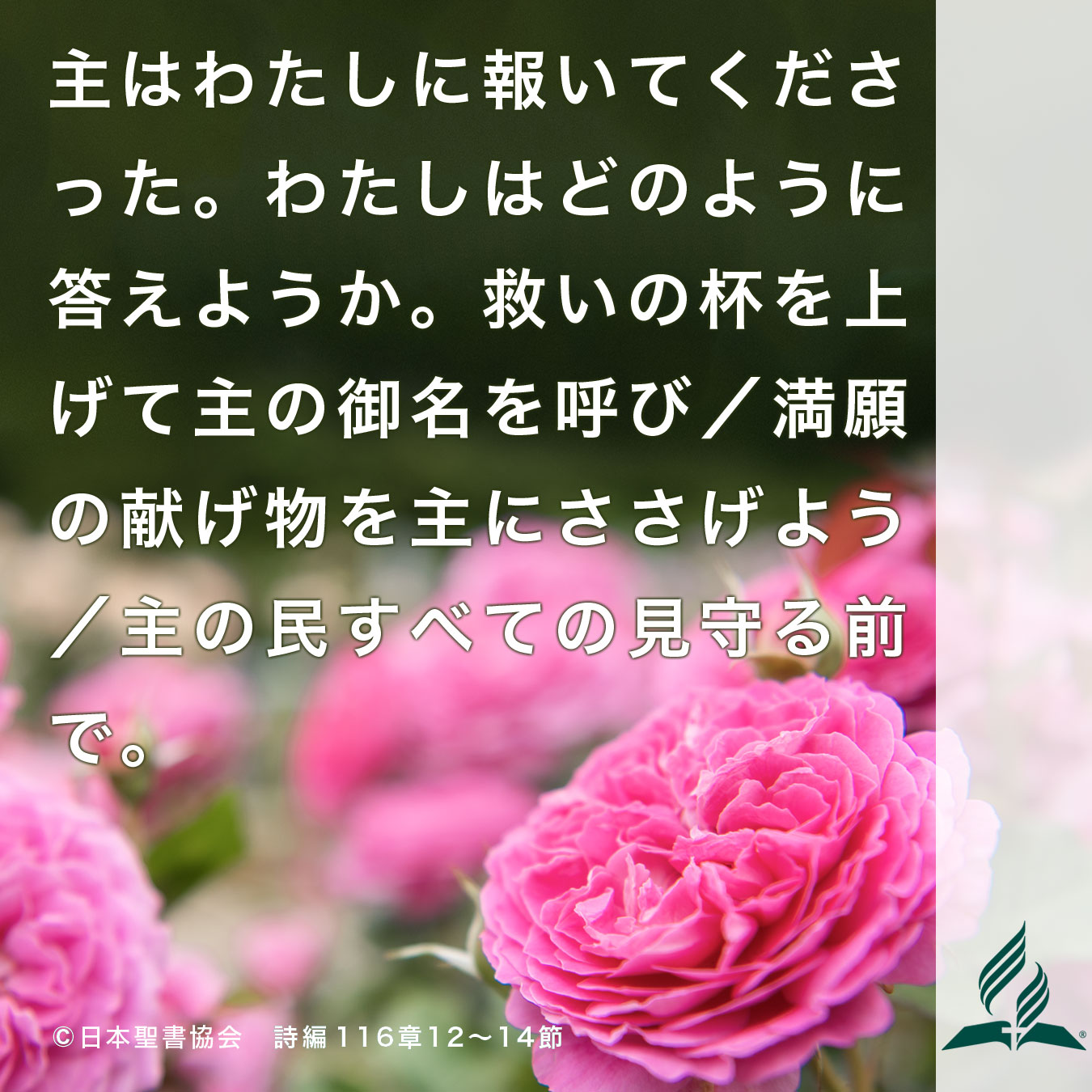 今週の暗唱聖句をお届けします
