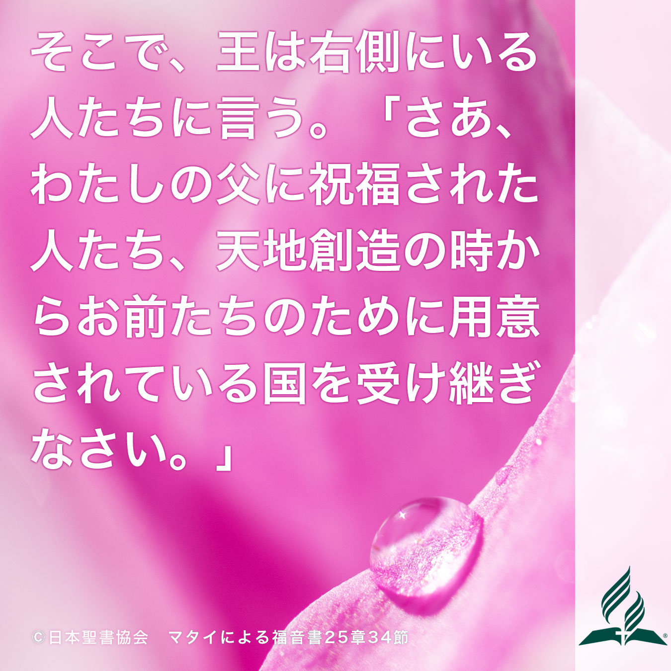 今週の暗唱聖句をお届けします