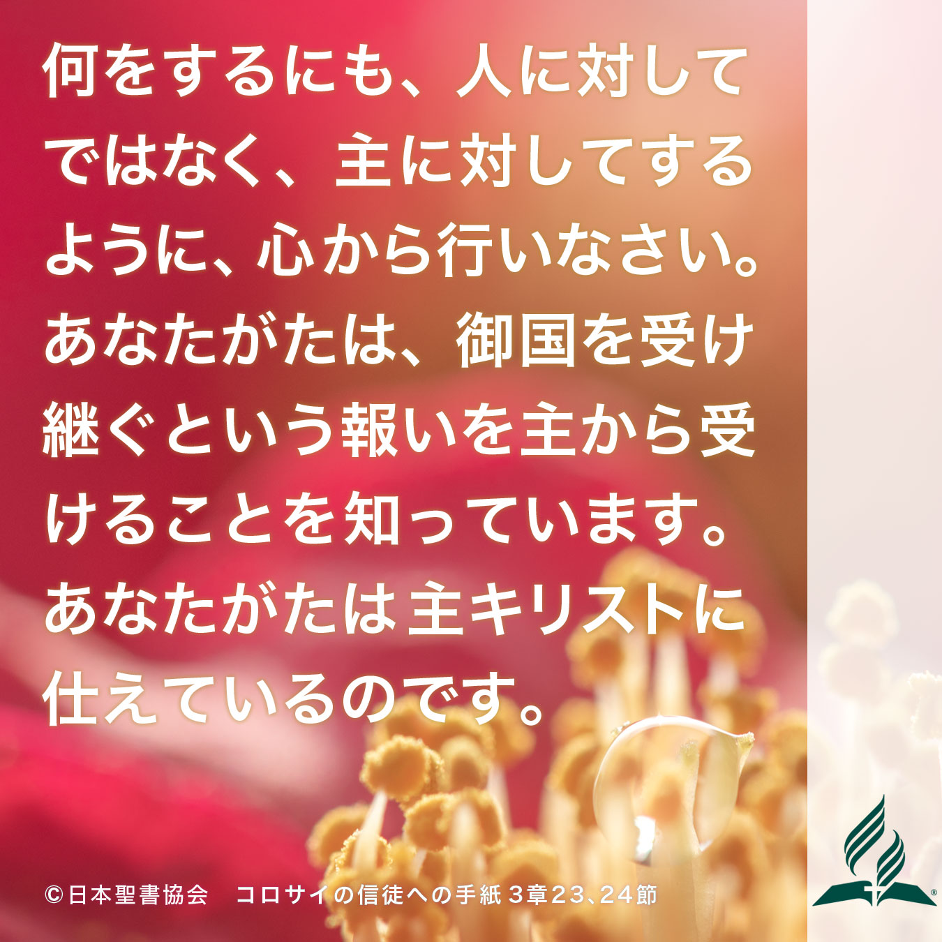 今週の暗唱聖句をお届けします