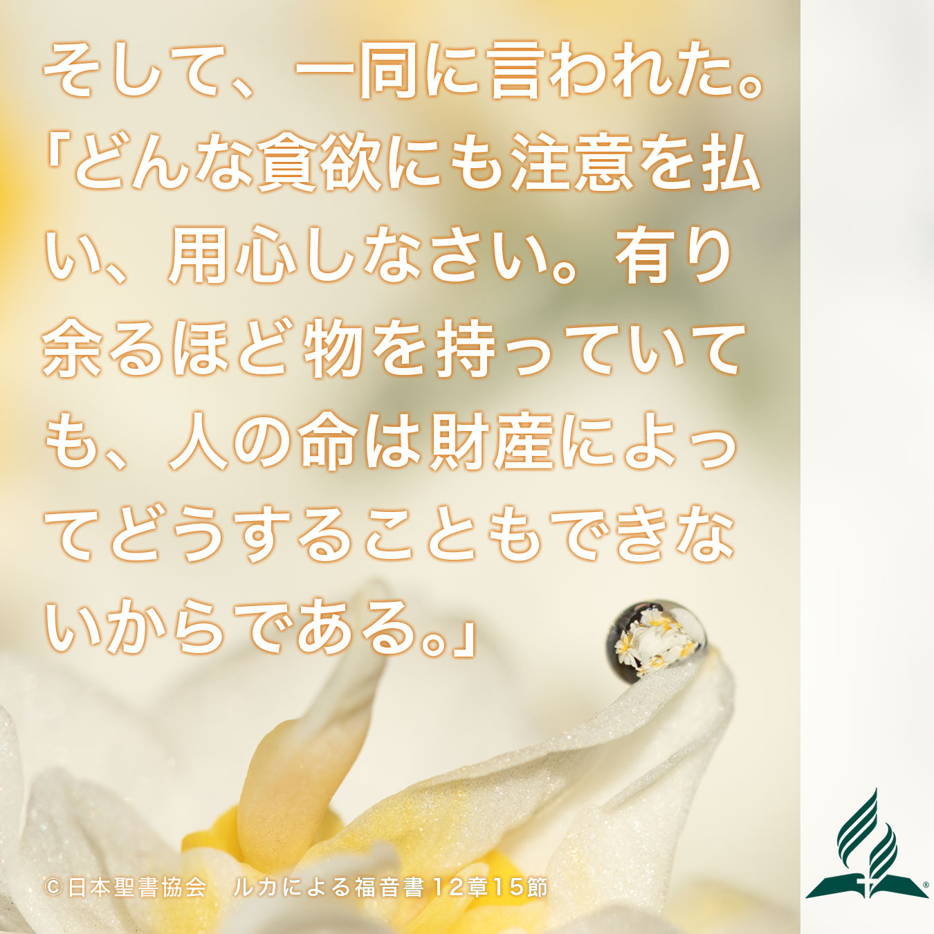 今週の暗唱聖句をお届けします