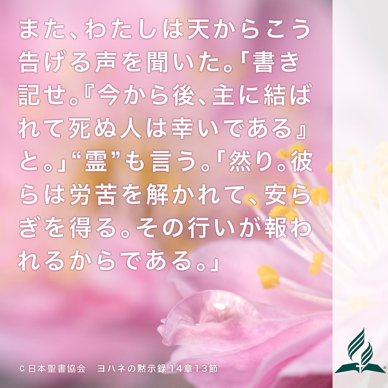 今週の暗唱聖句をお届けします