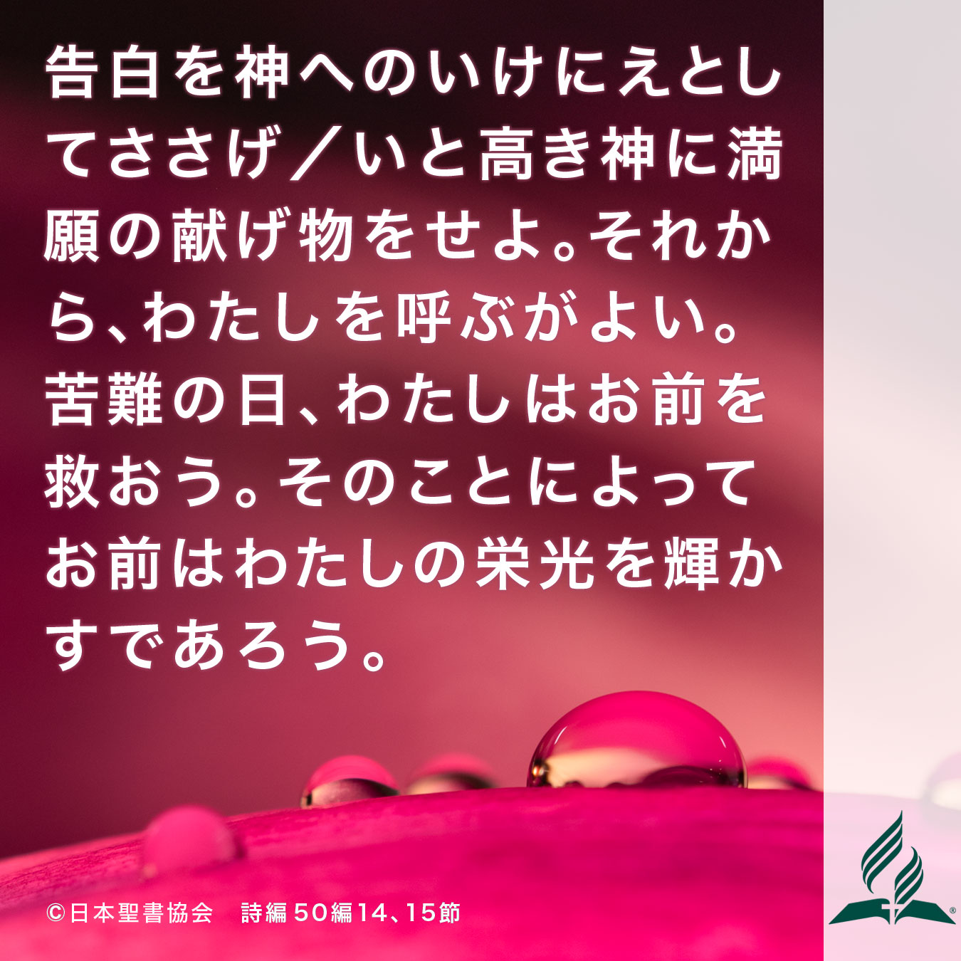 今週の暗唱聖句をお届けします