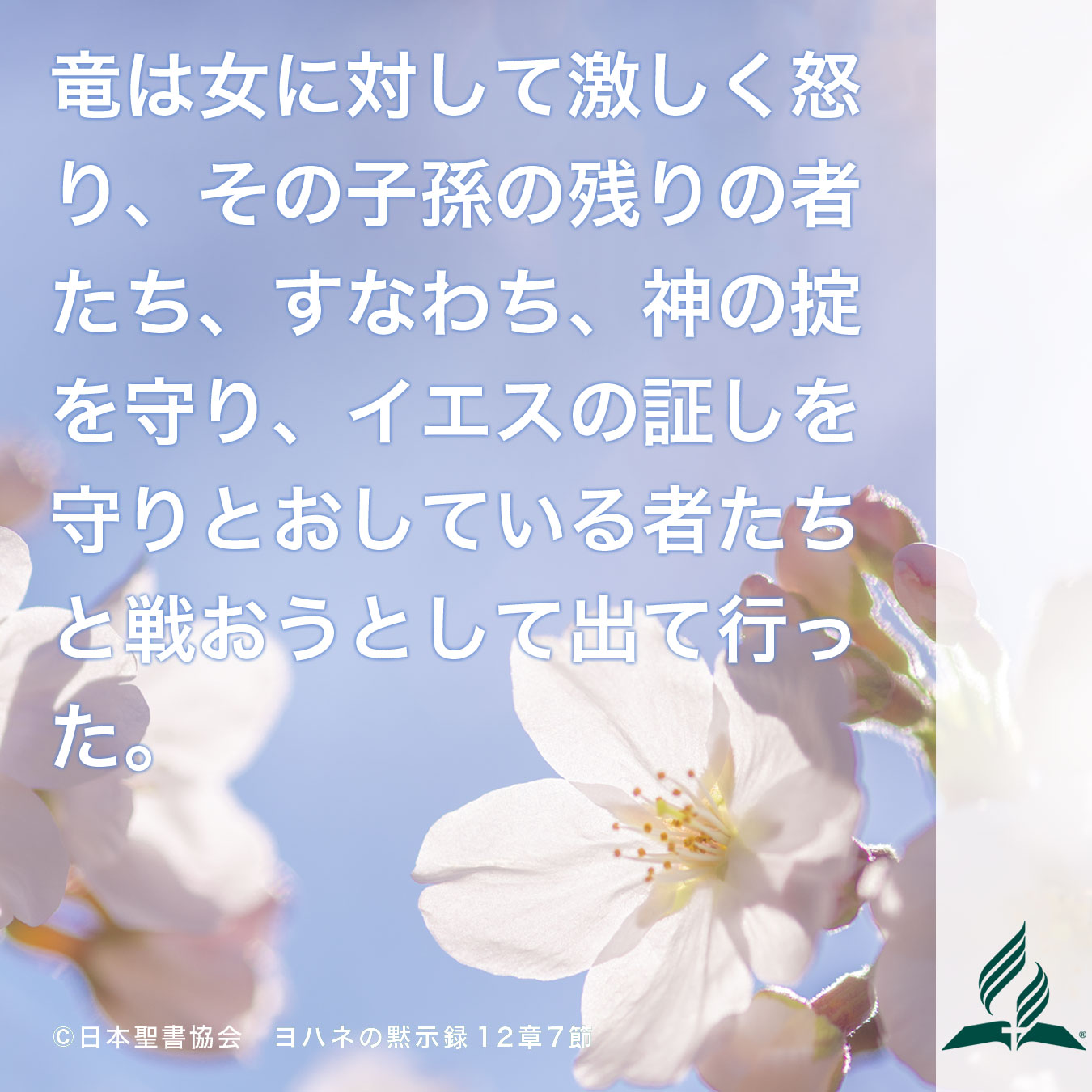 今週の暗唱聖句をお届けします 今週の暗唱聖句をお届けします