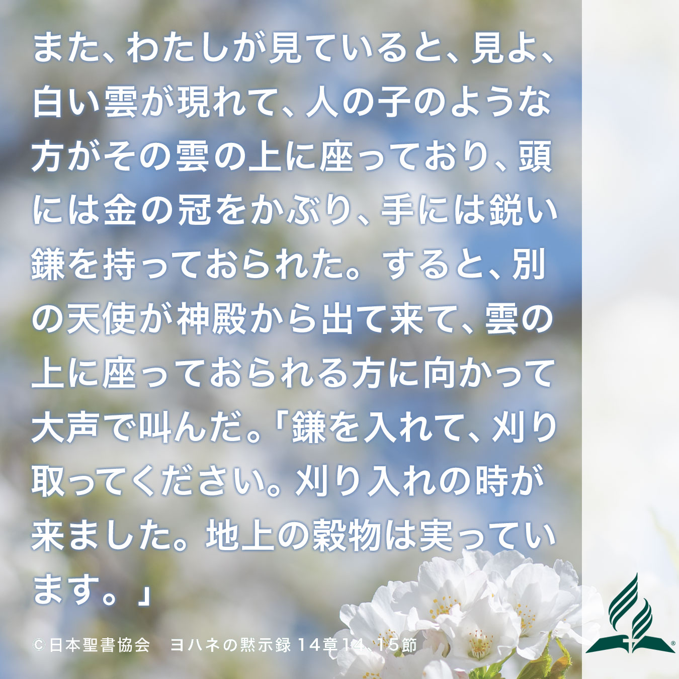 今週の暗唱聖句をお届けします