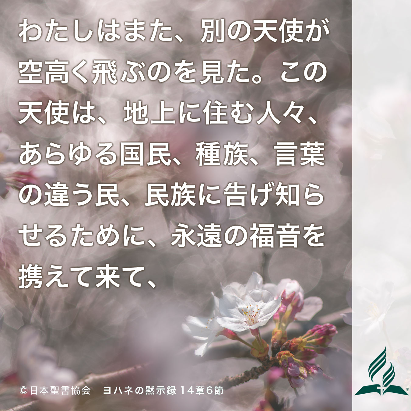 今週の暗唱聖句をお届けします
