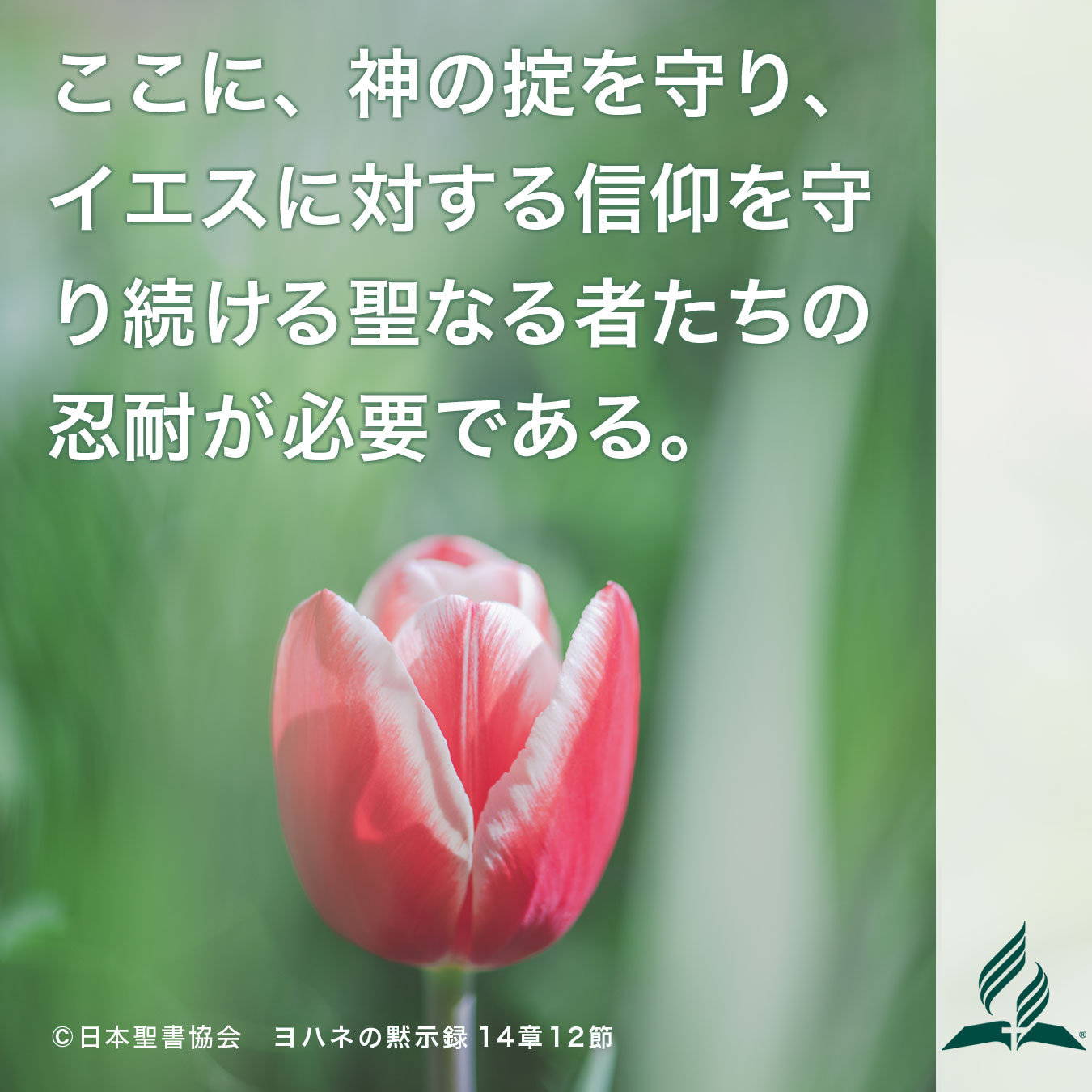 今週の暗唱聖句をお届けします