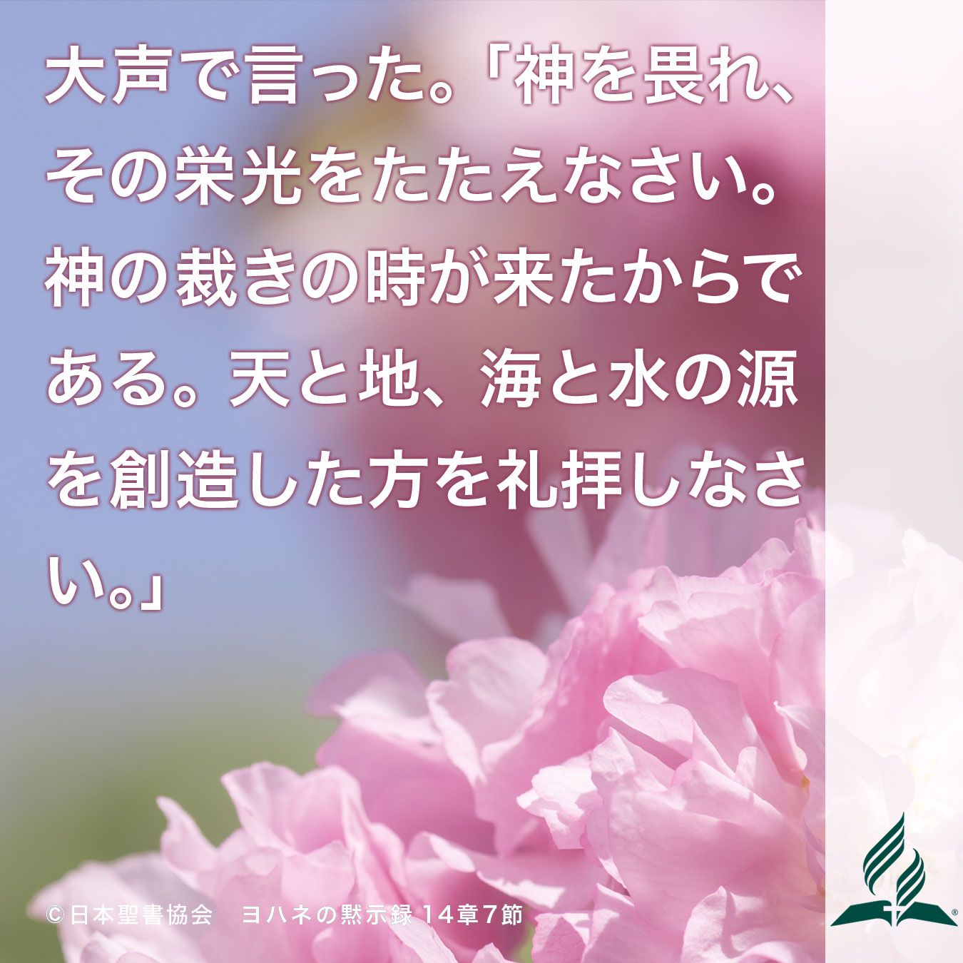 今週の暗唱聖句をお届けします