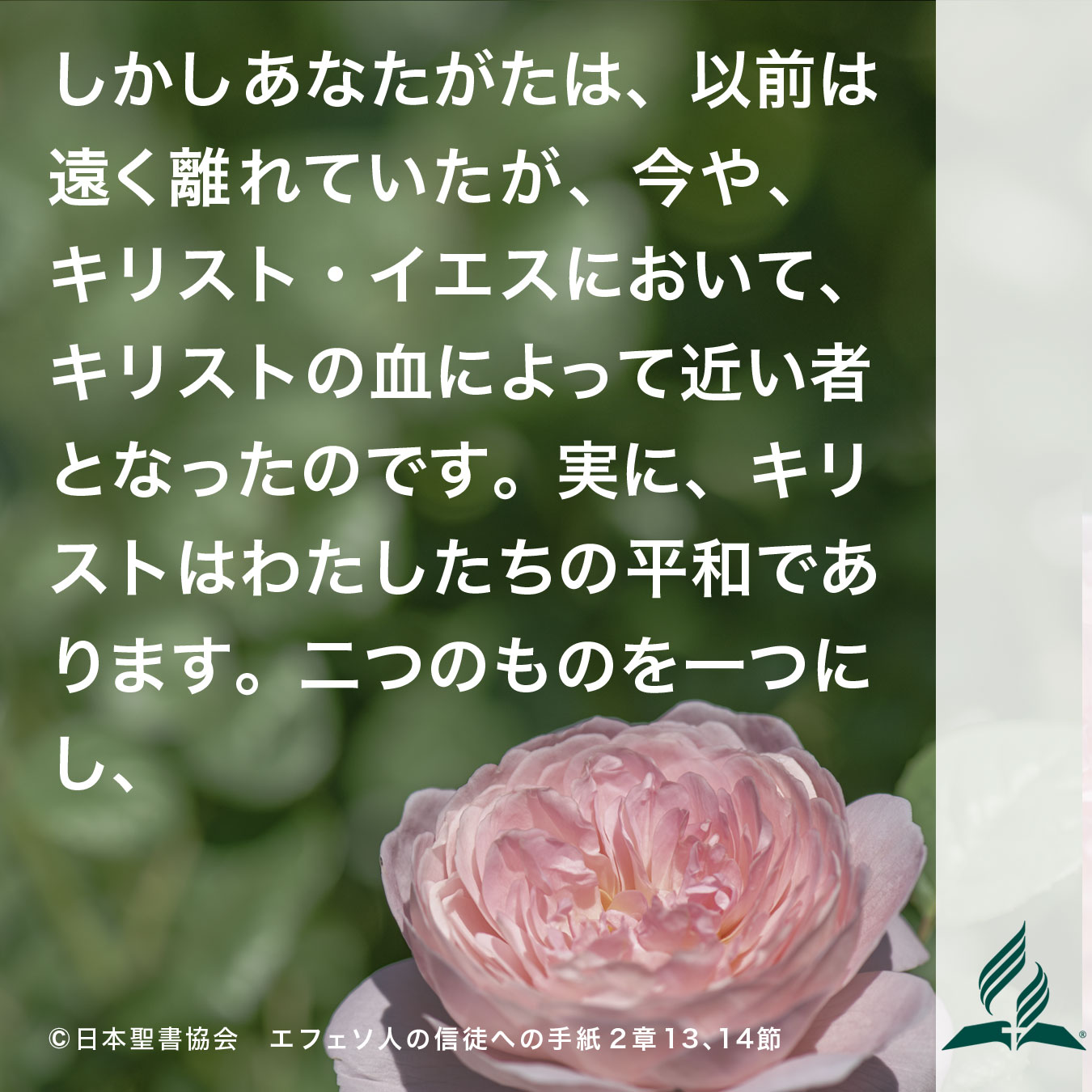 今週の暗唱聖句をお届けします