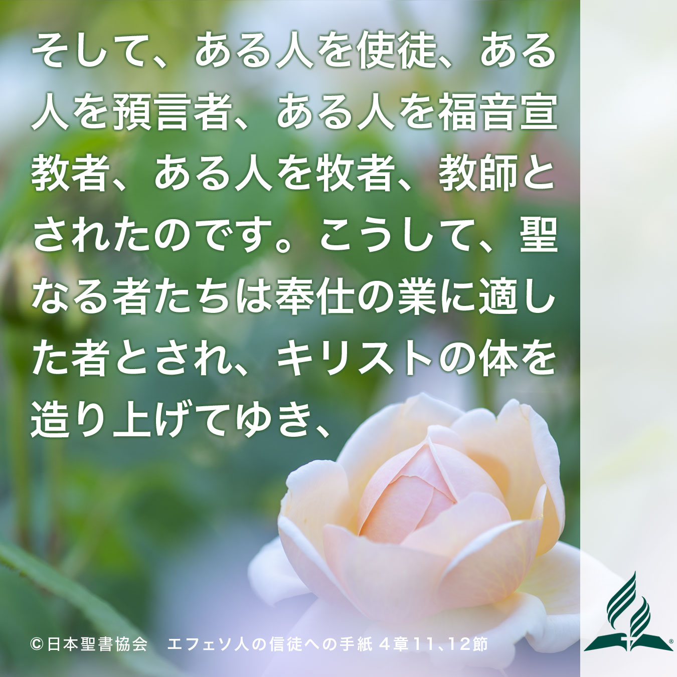 今週の暗唱聖句をお届けします