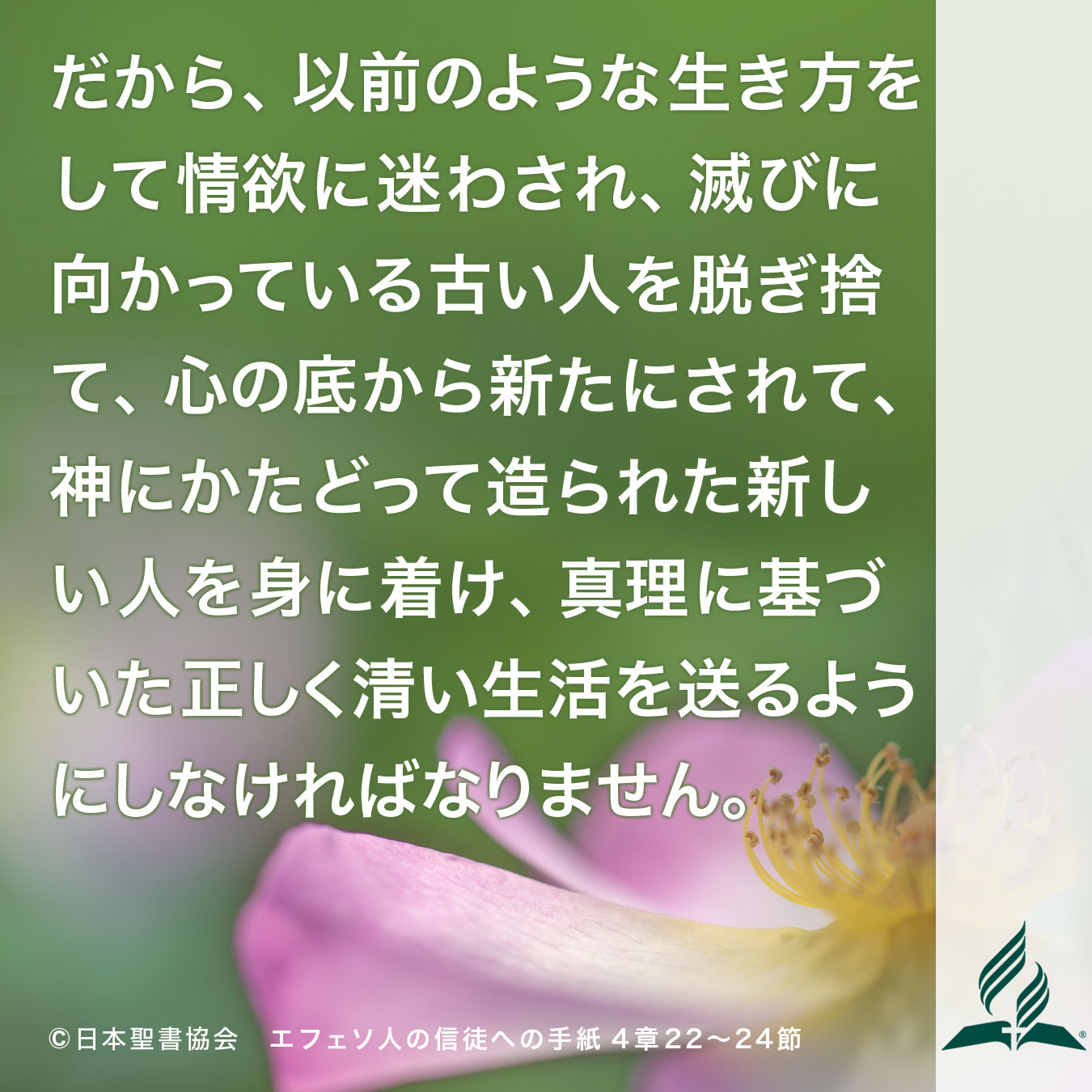 今週の暗唱聖句をお届けします