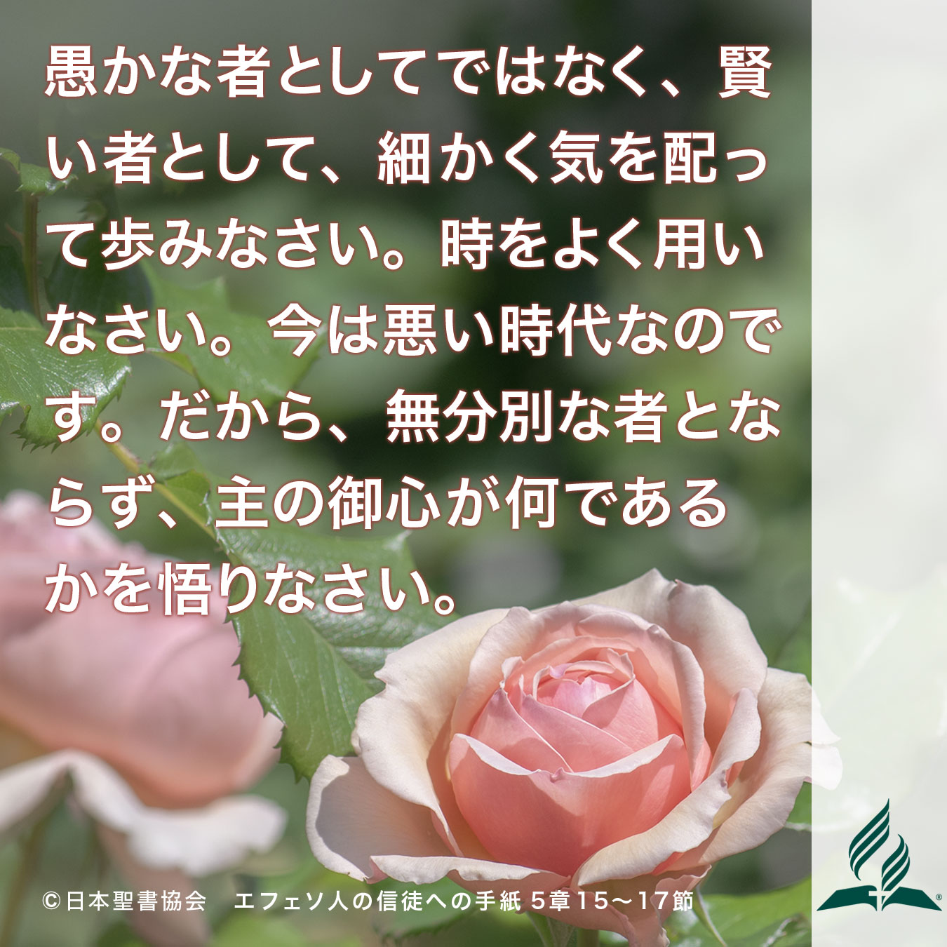 今週の暗唱聖句をお届けします