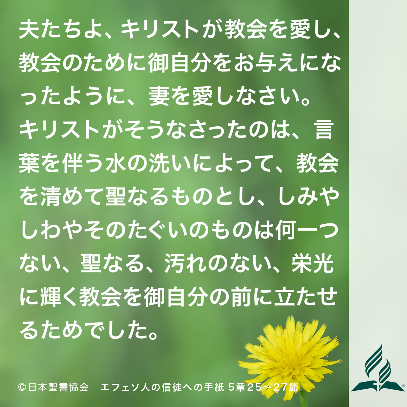 今週の暗唱聖句をお届けします