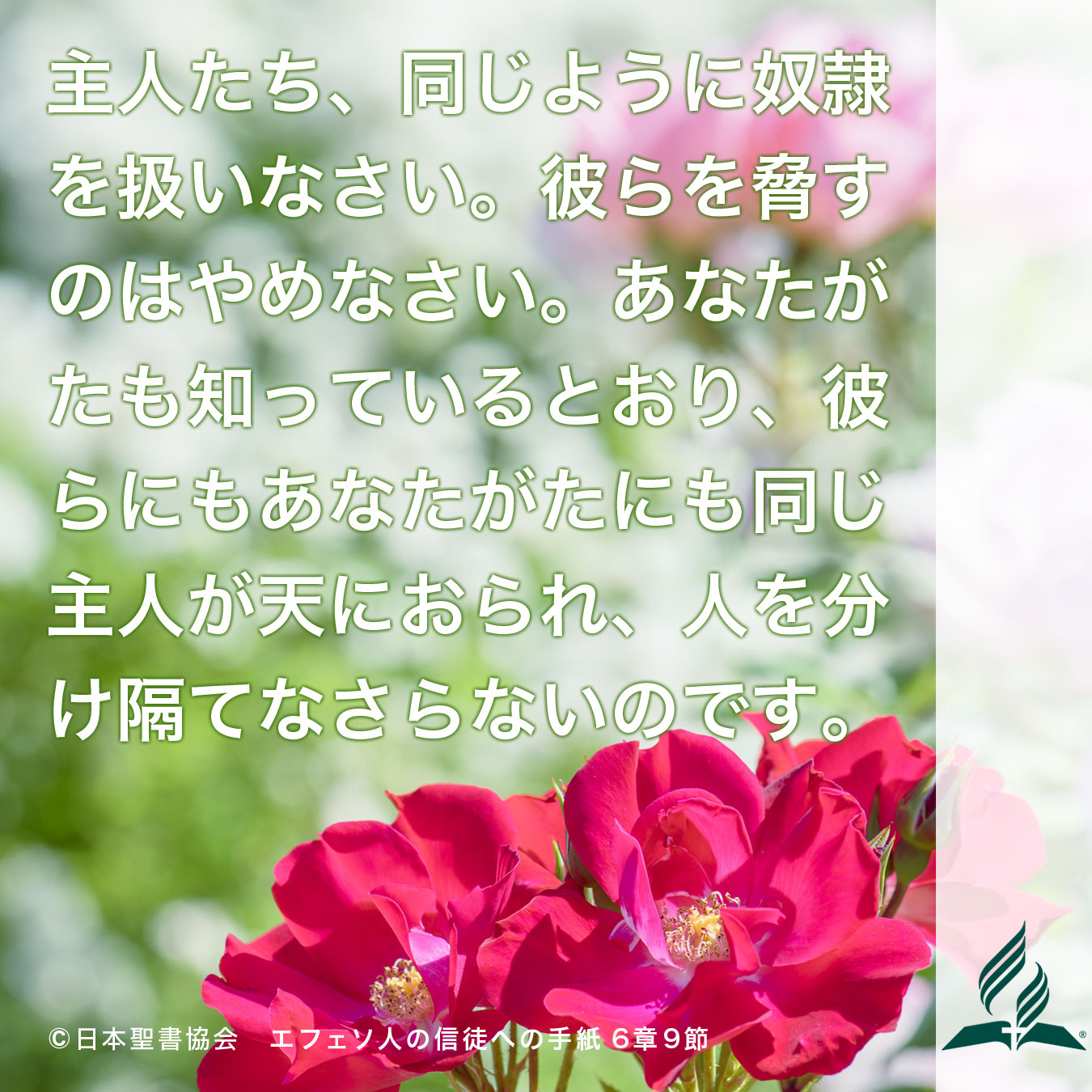 今週の暗唱聖句をお届けします
