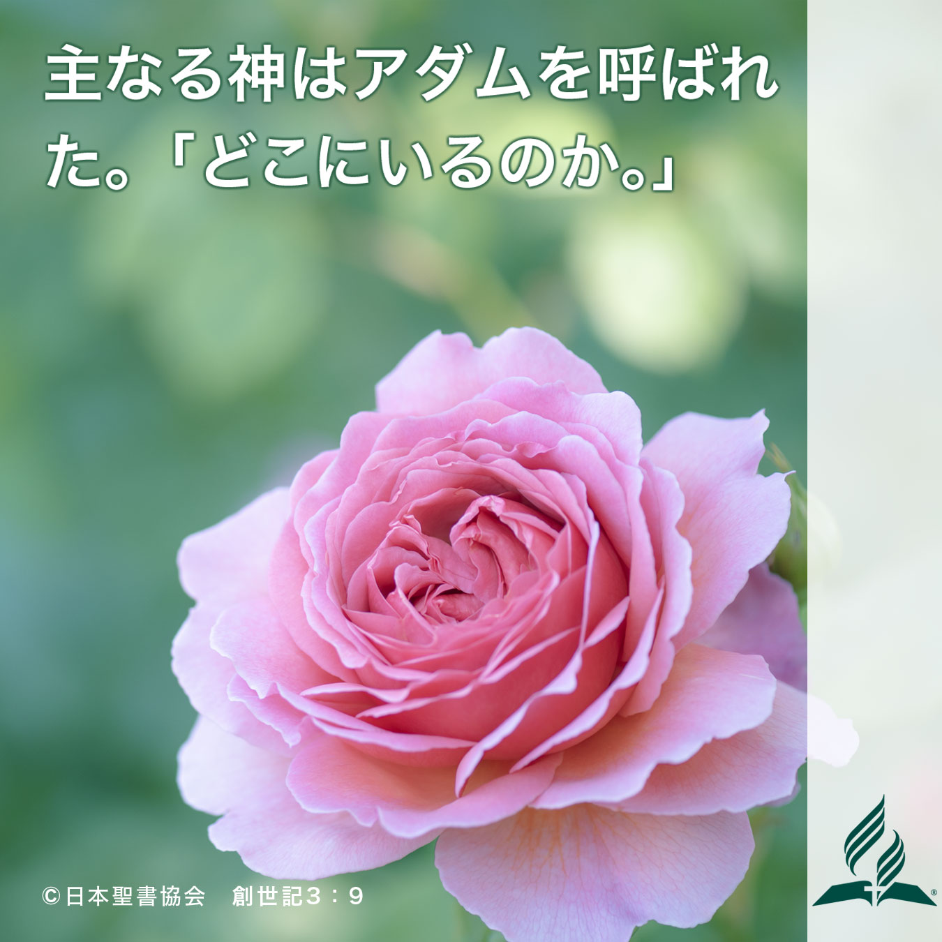 今週の暗唱聖句をお届けします