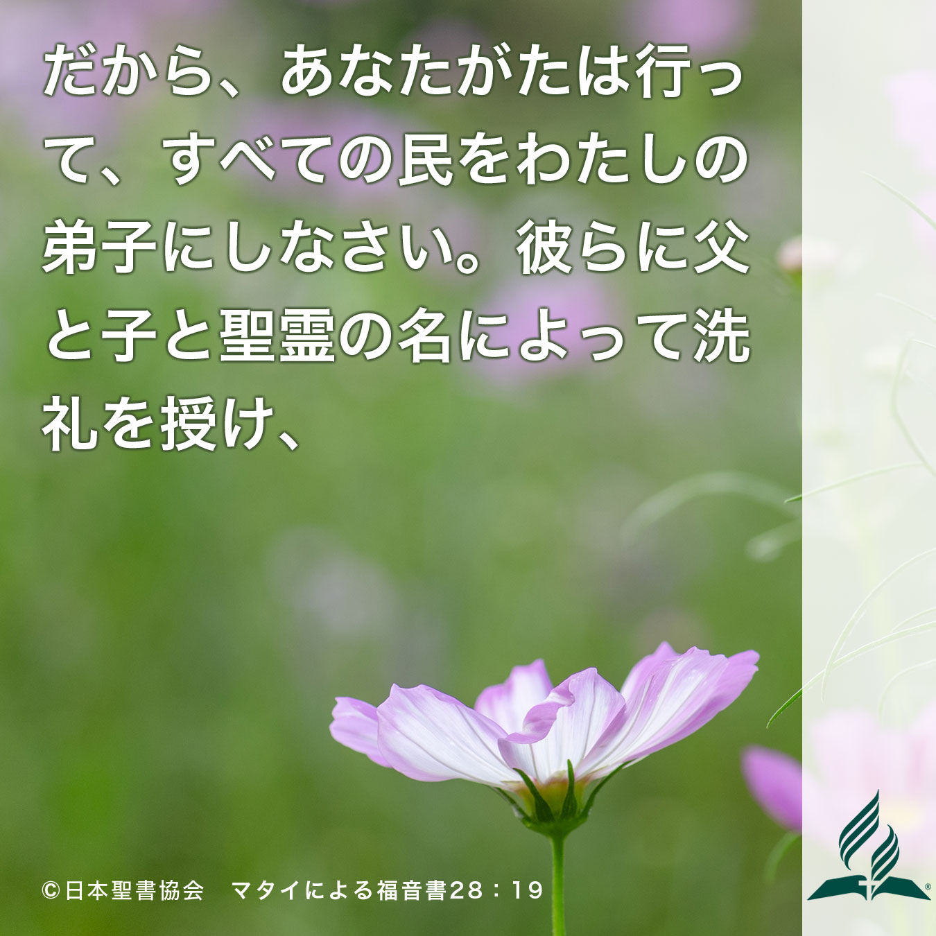 今週の暗唱聖句をお届けします