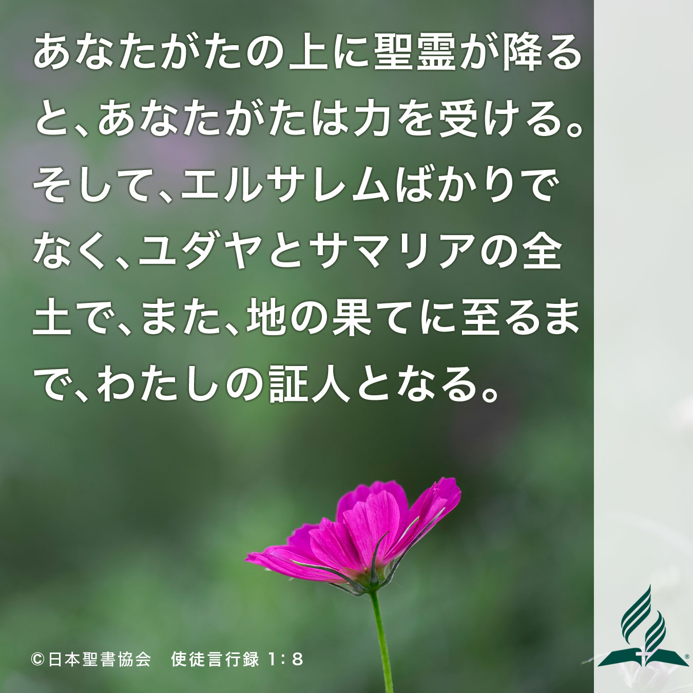 今週の暗唱聖句をお届けします