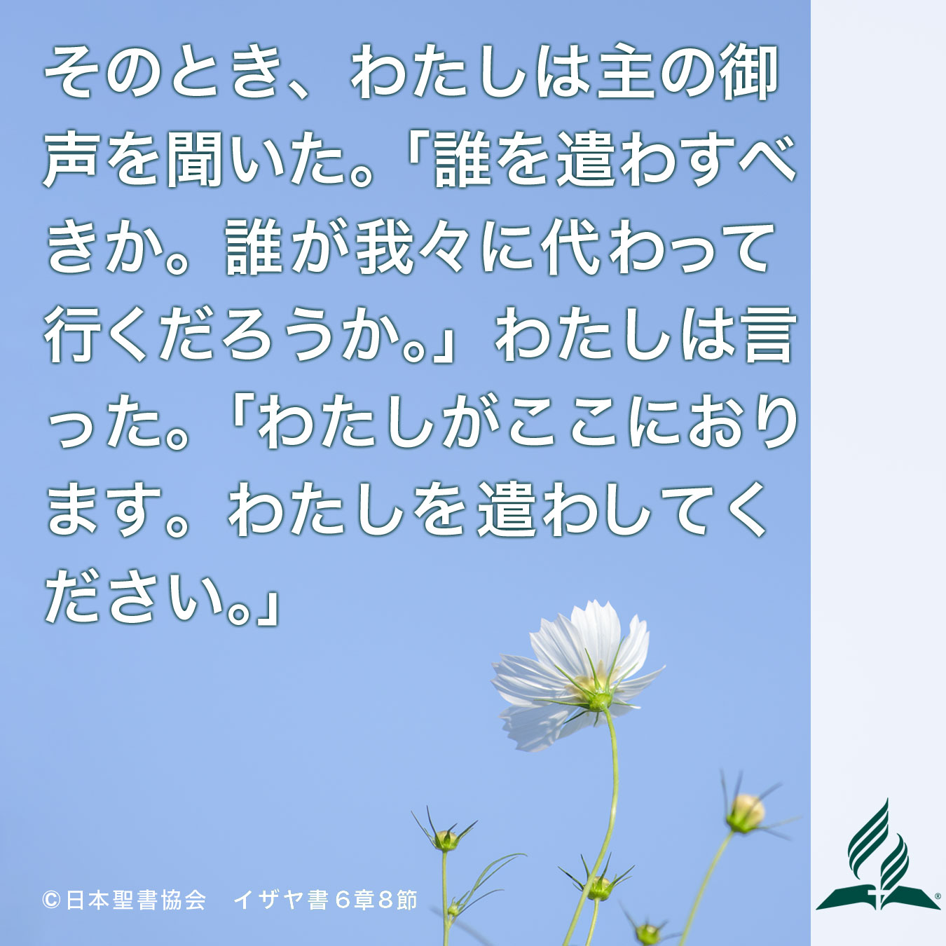 今週の暗唱聖句をお届けします