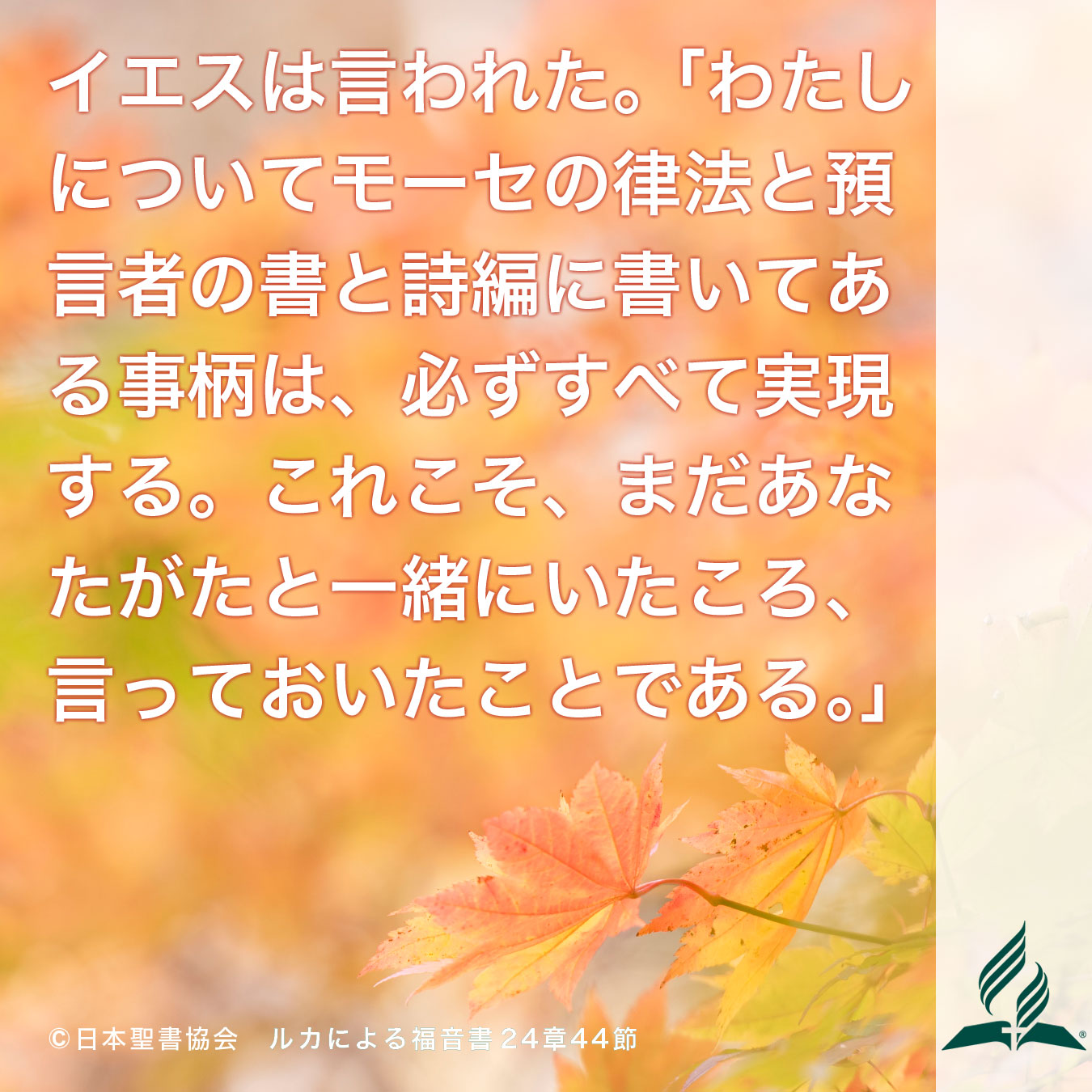 今週の暗唱聖句をお届けします