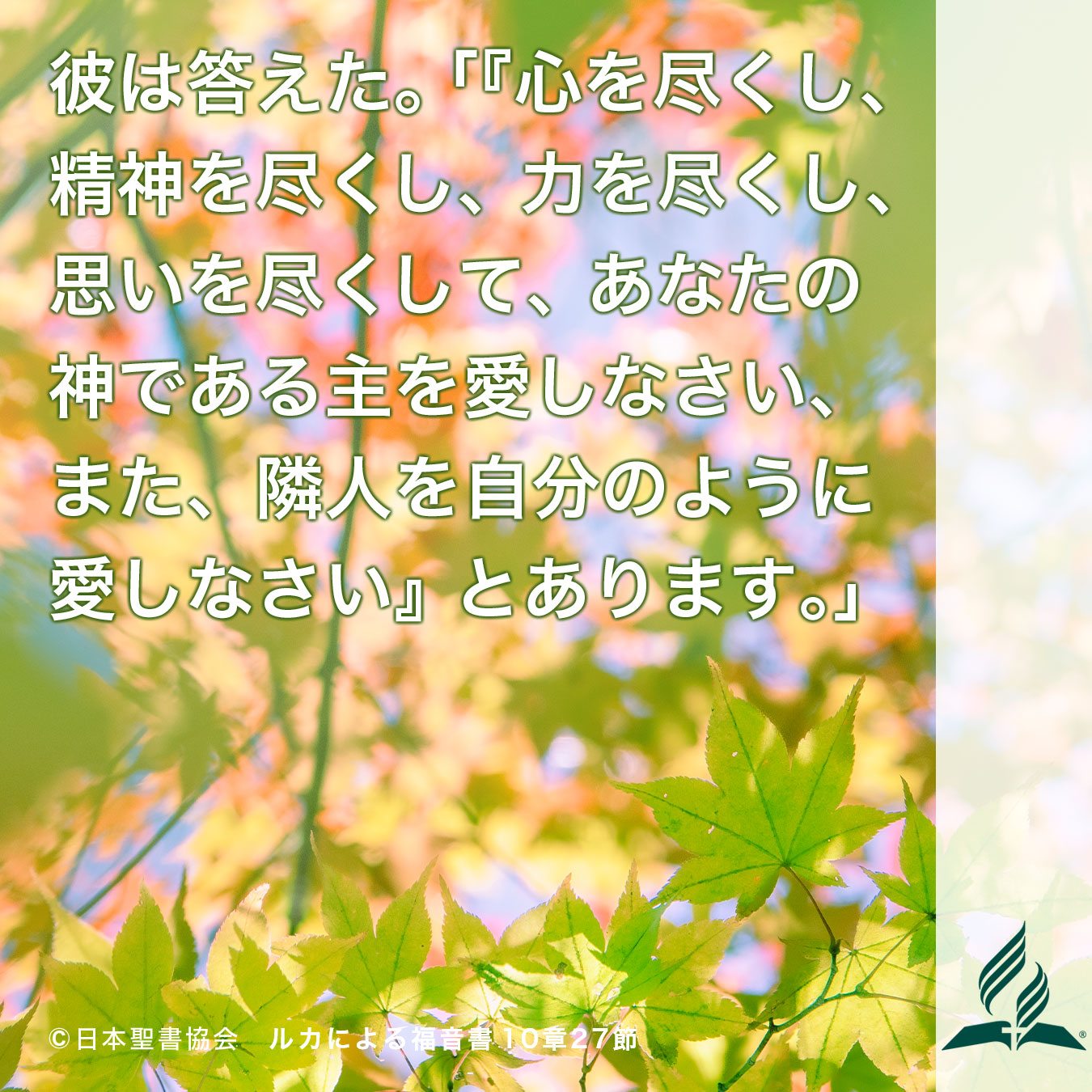今週の暗唱聖句をお届けします