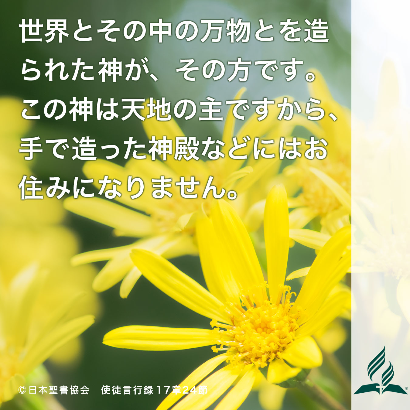 今週の暗唱聖句をお届けします