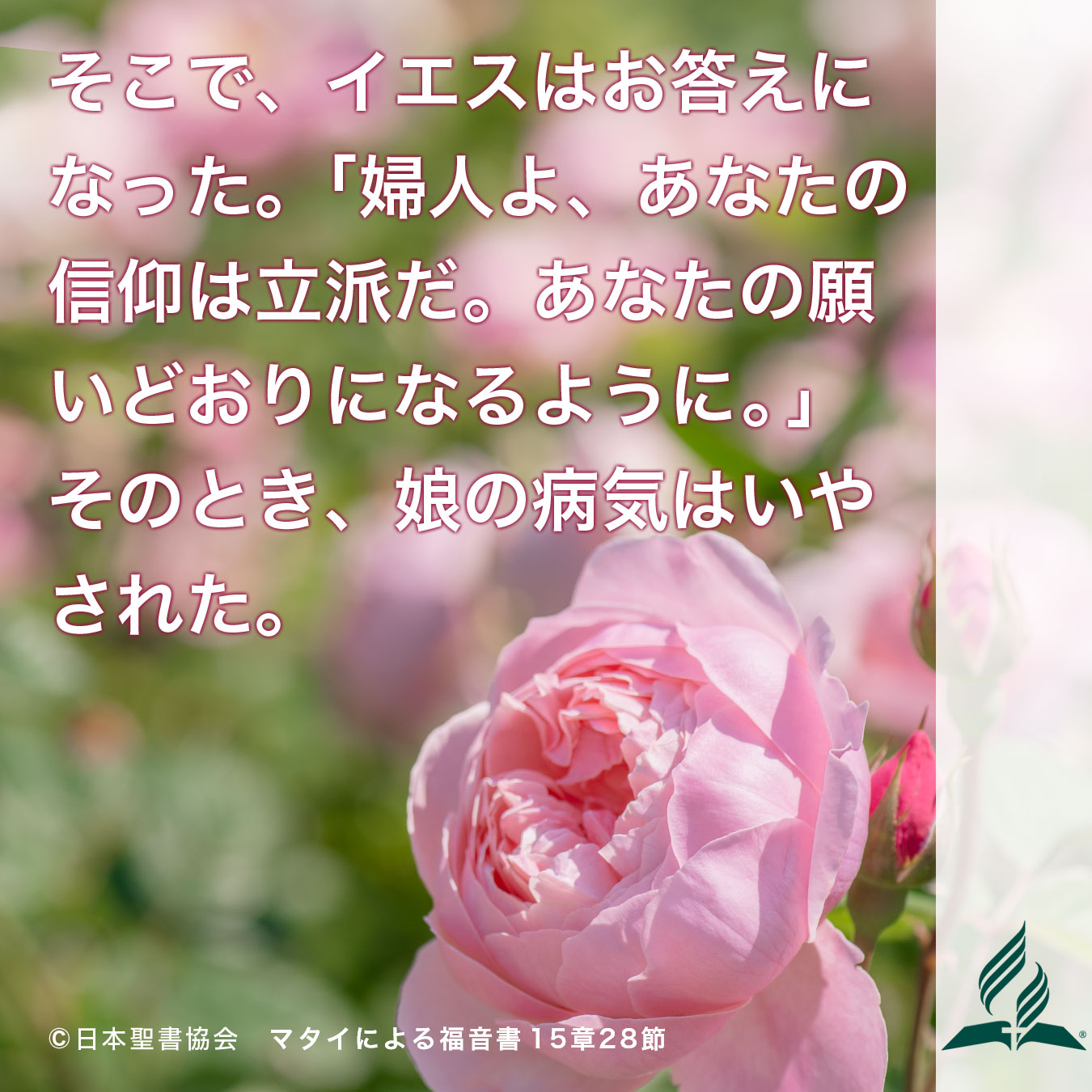 今週の暗唱聖句をお届けします