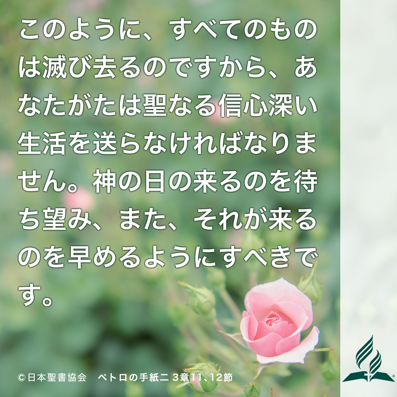 今週の暗唱聖句をお届けします