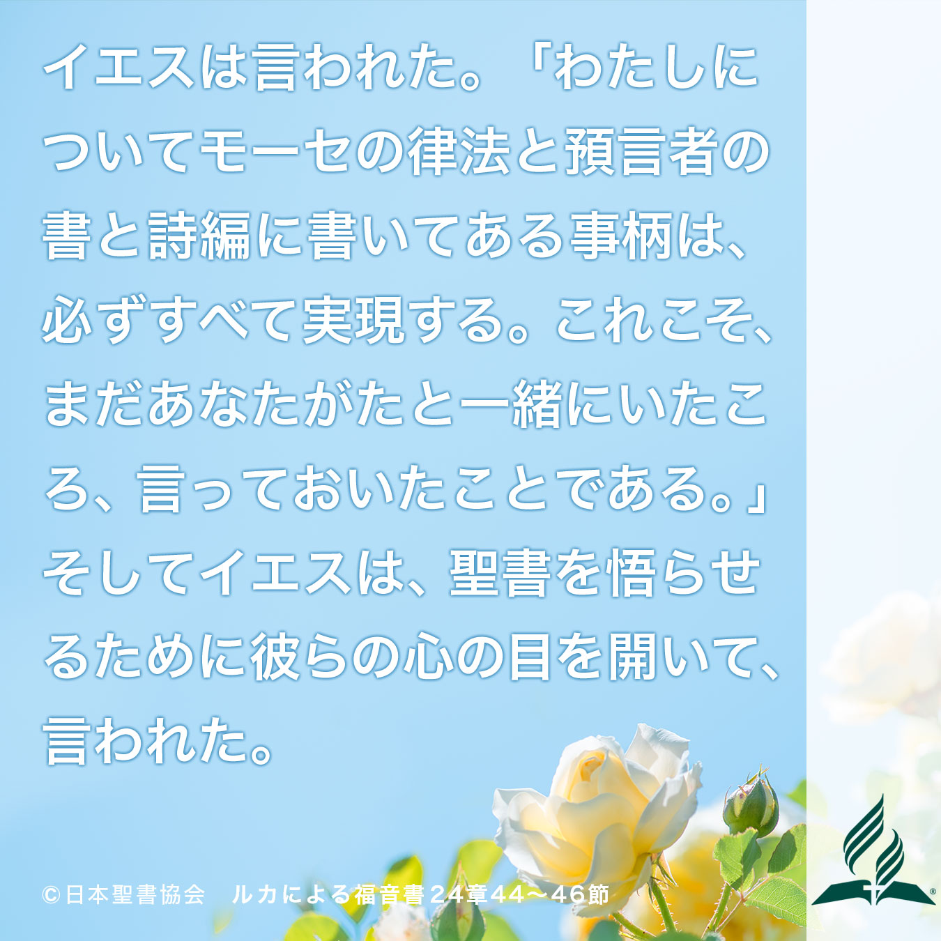 今週の暗唱聖句をお届けします