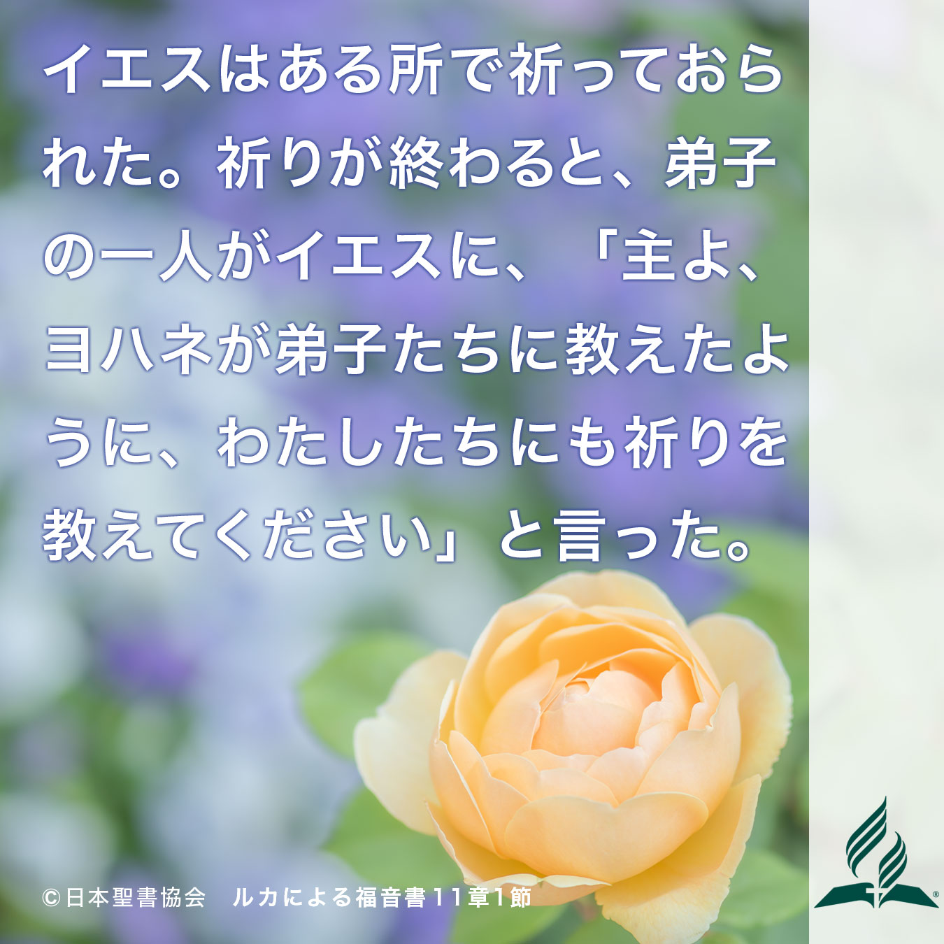 今週の暗唱聖句をお届けします