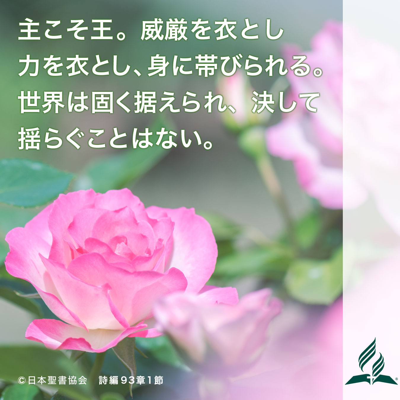 今週の暗唱聖句をお届けします