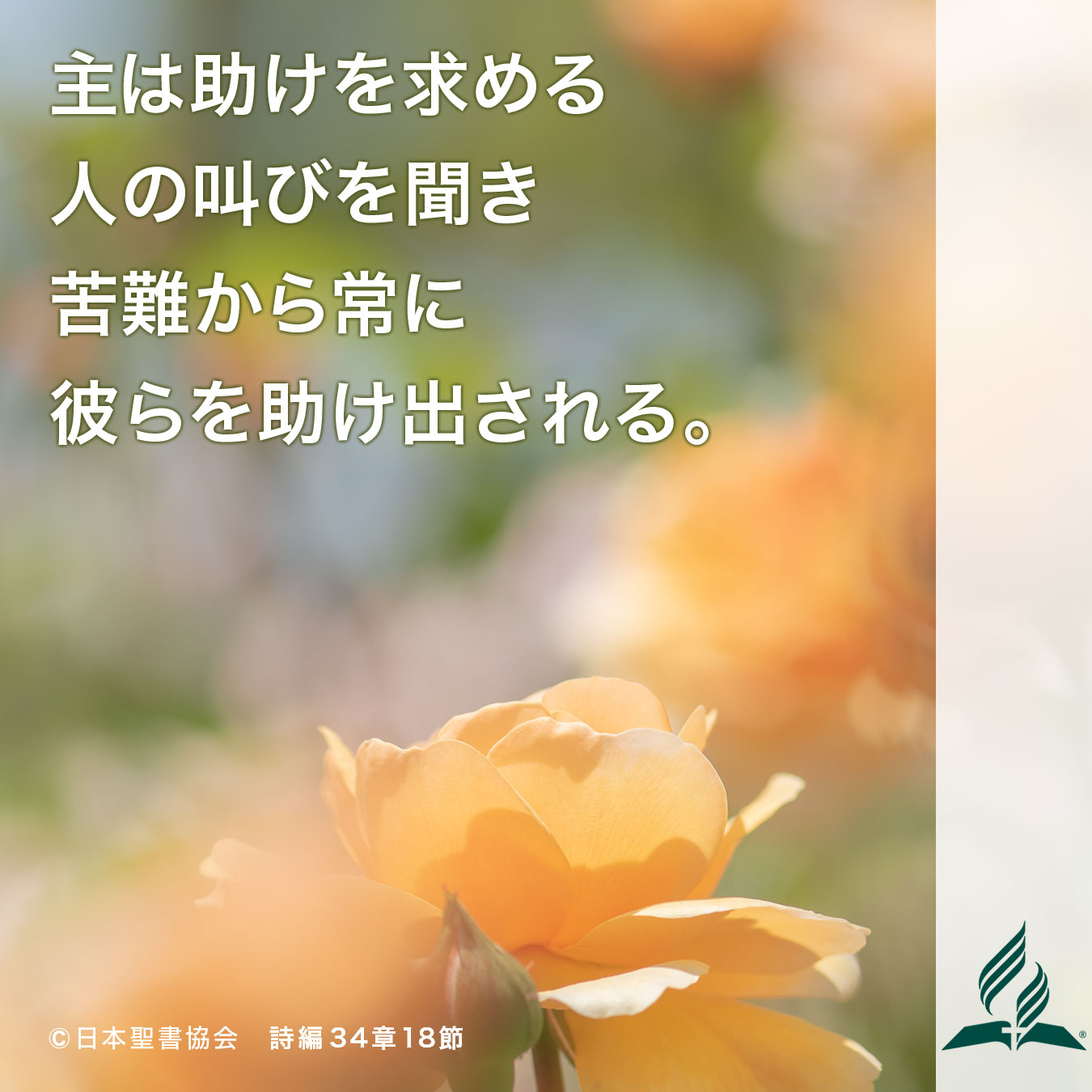 今週の暗唱聖句をお届けします