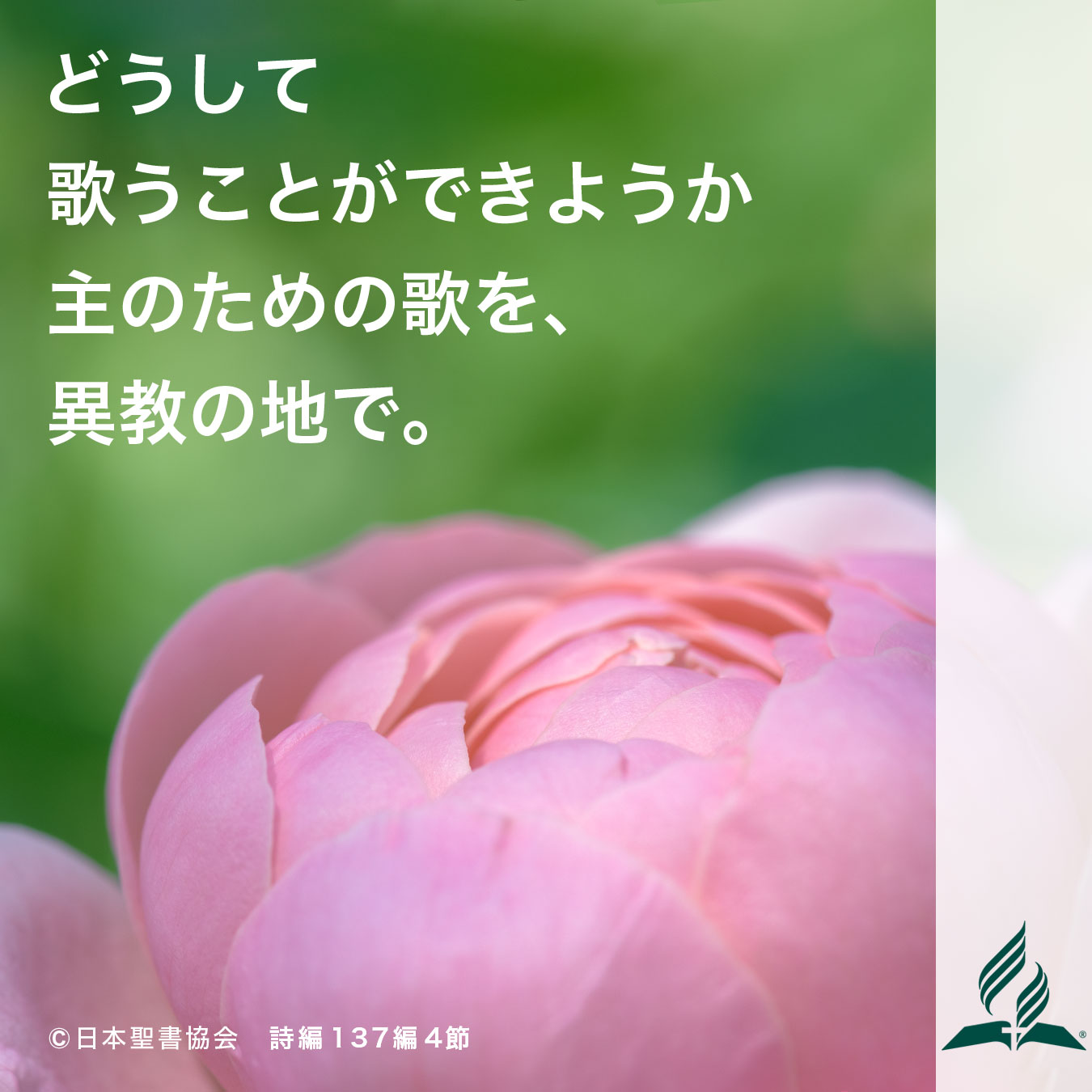 今週の暗唱聖句をお届けします