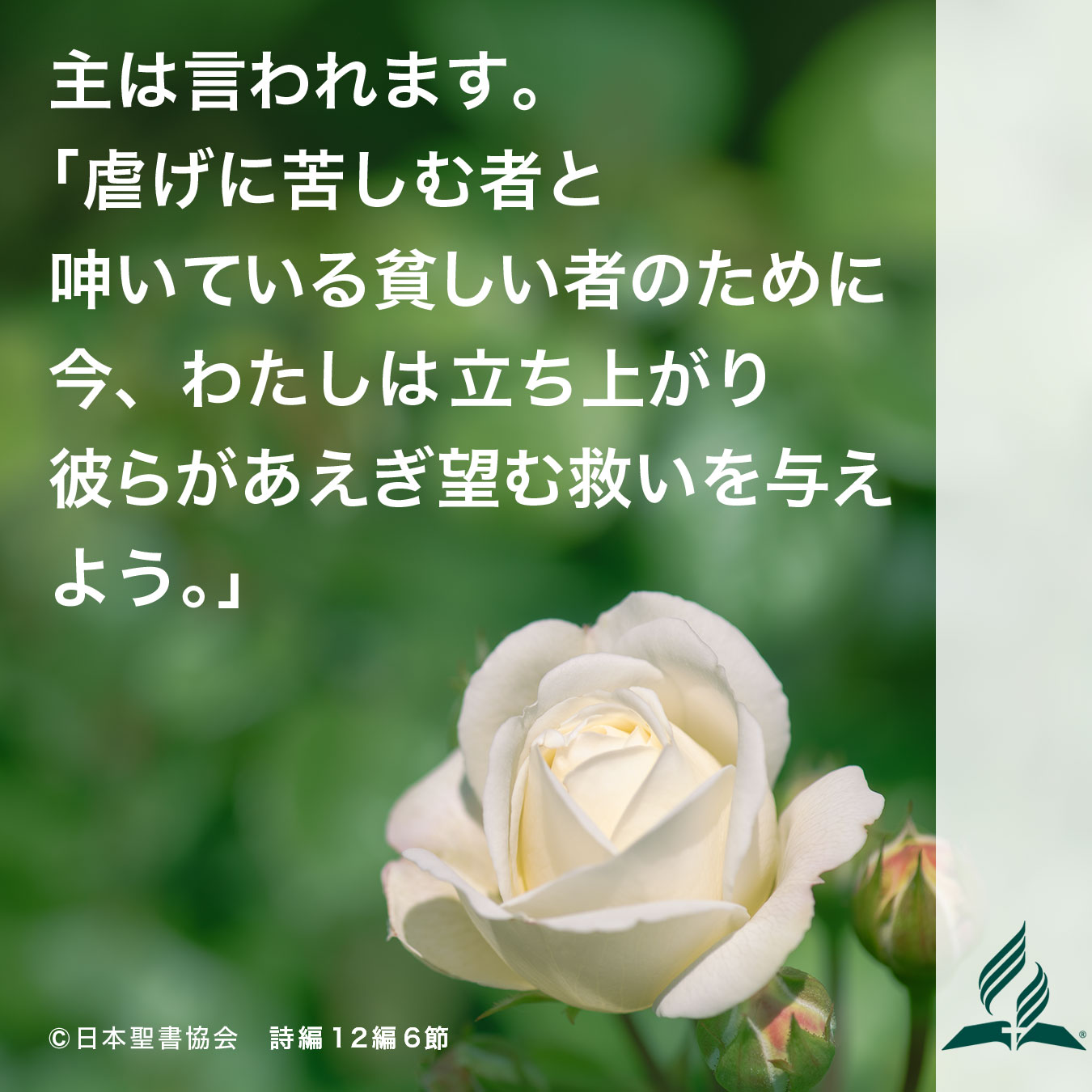 今週の暗唱聖句をお届けします