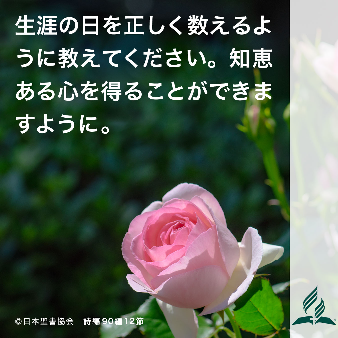 今週の暗唱聖句をお届けします