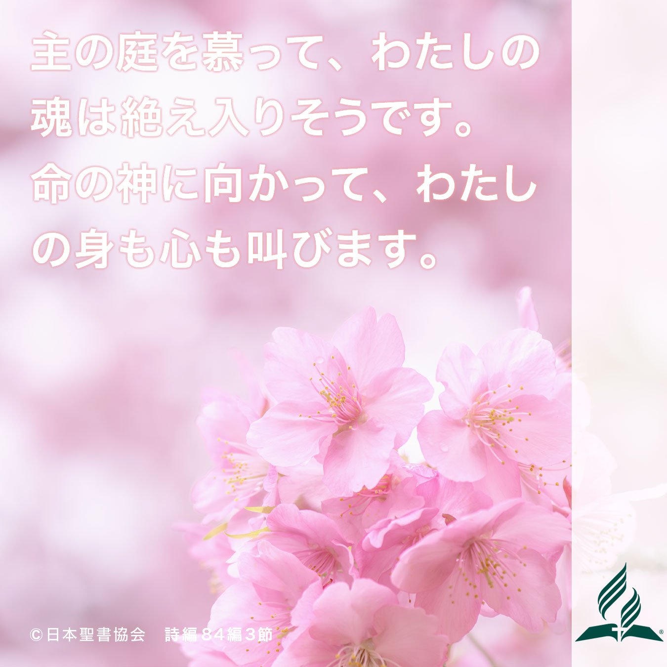 今週の暗唱聖句をお届けします