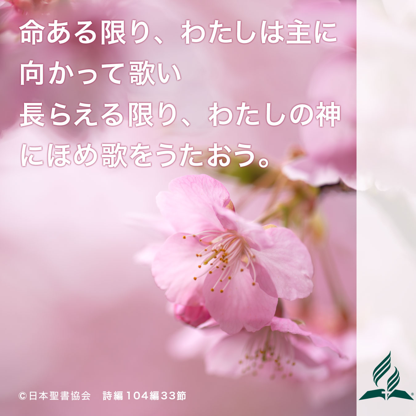 今週の暗唱聖句をお届けします
