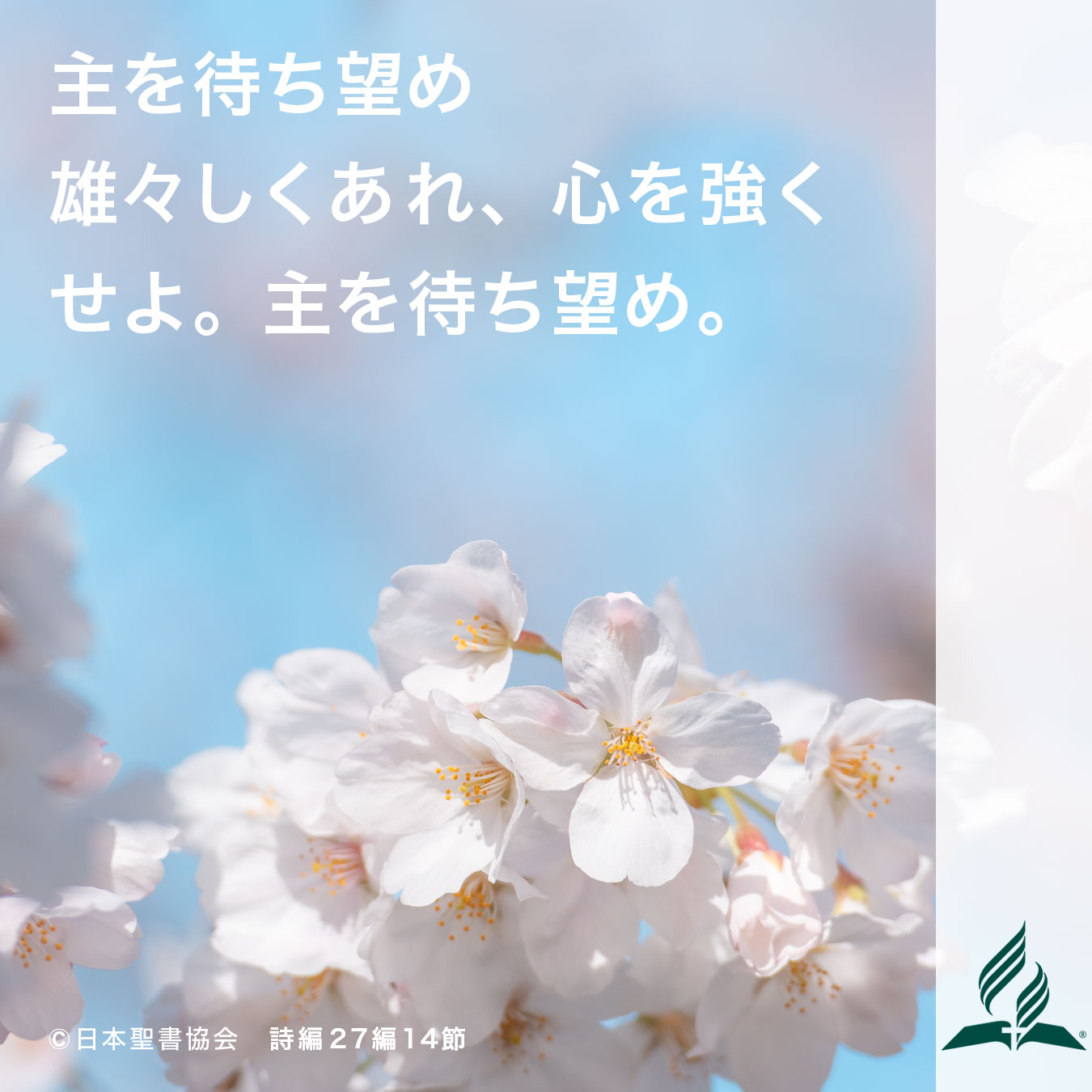 今週の暗唱聖句をお届けします