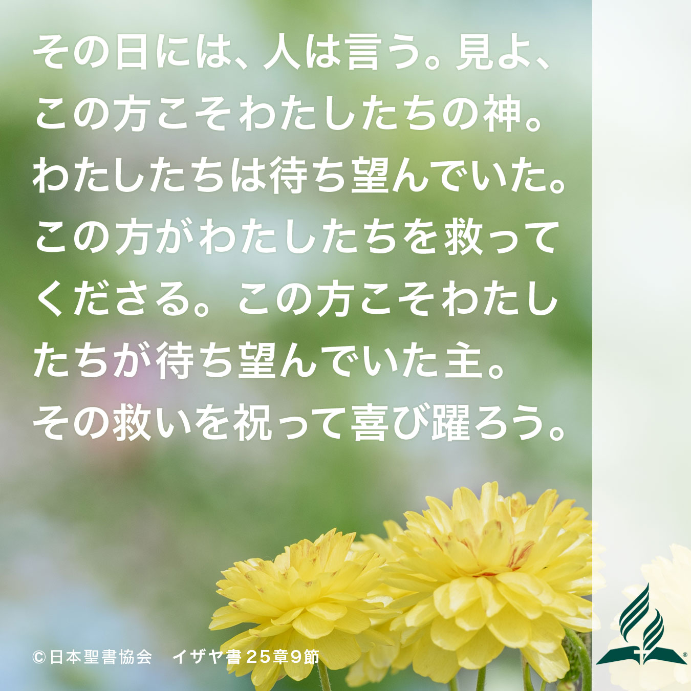 今週の暗唱聖句をお届けします