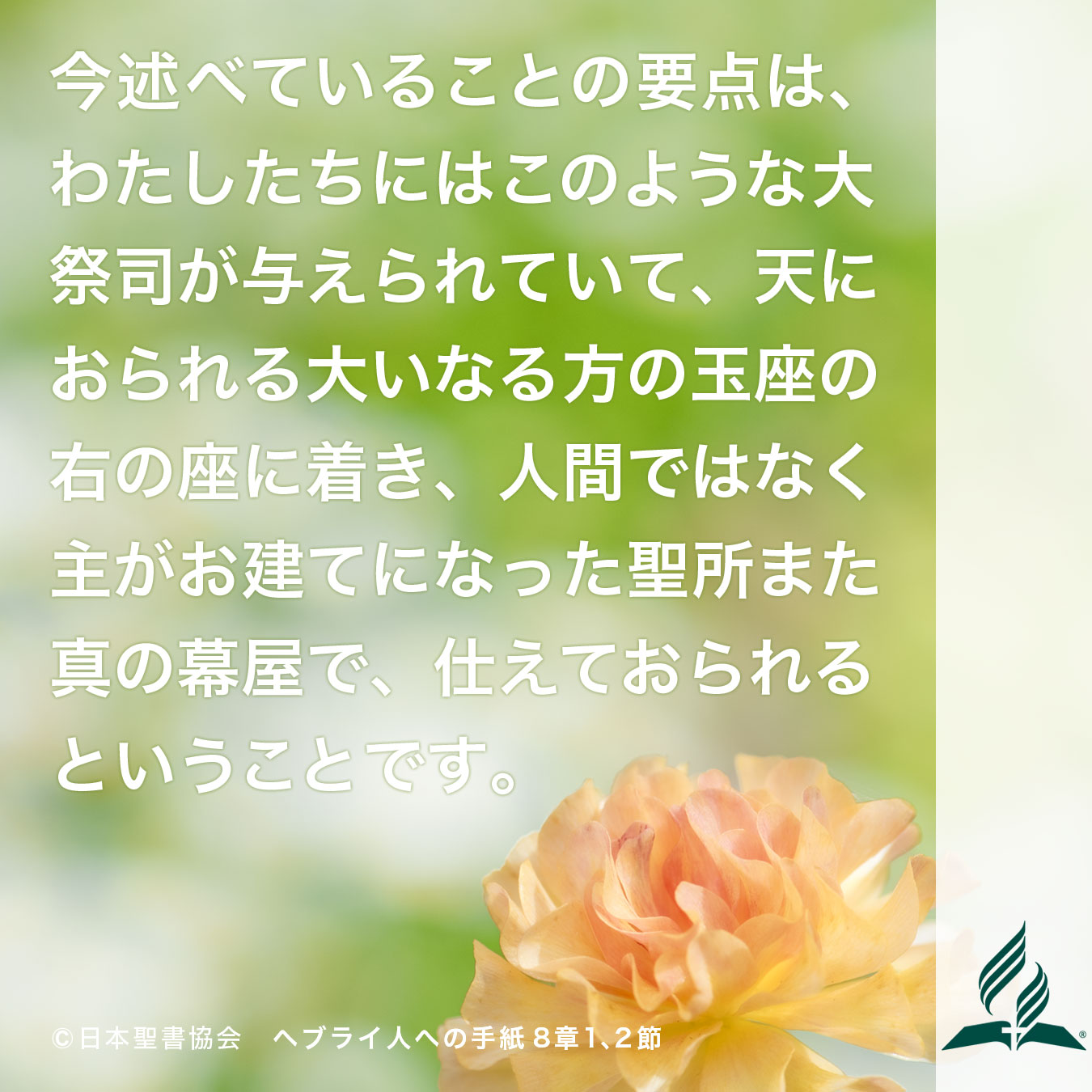 今週の暗唱聖句をお届けします