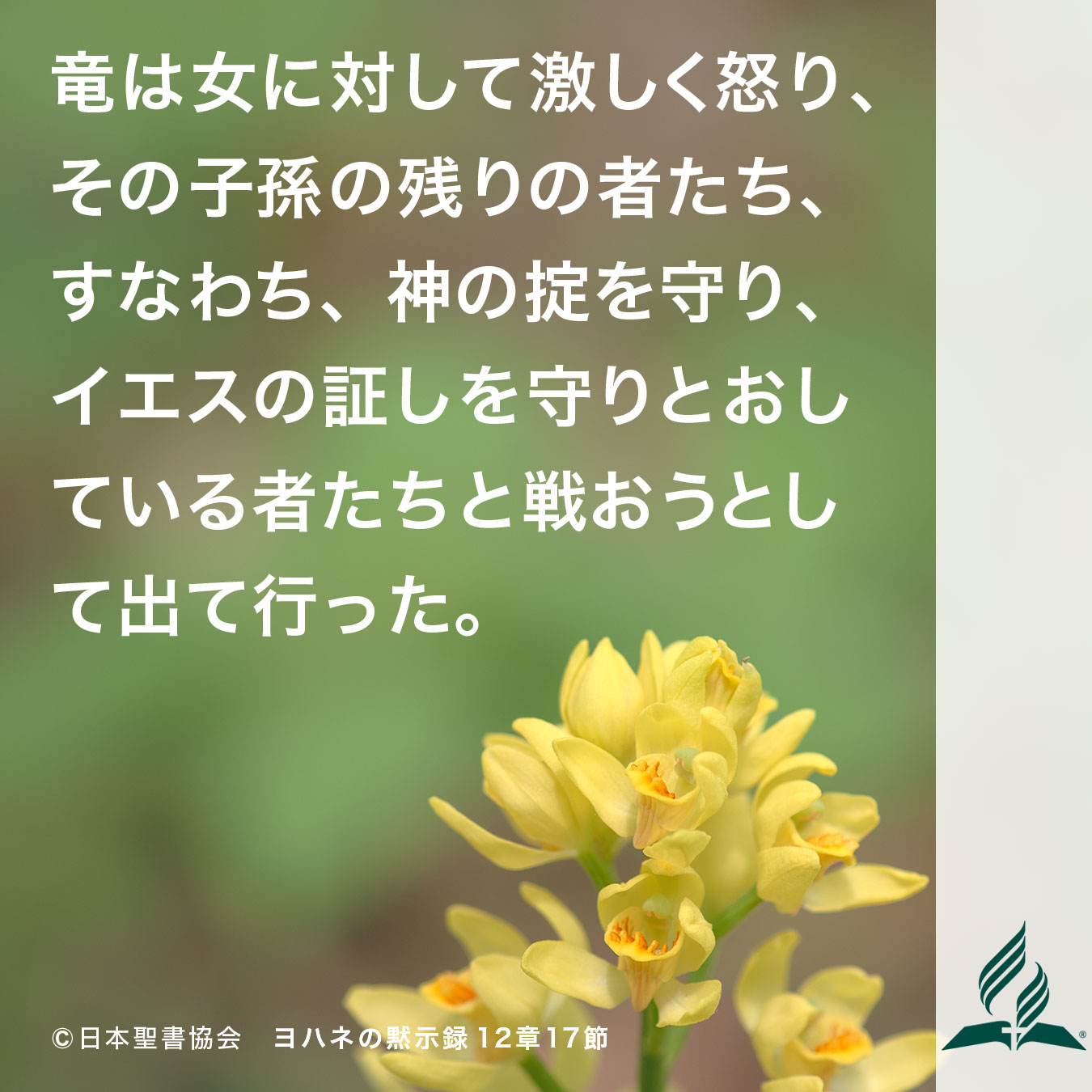今週の暗唱聖句をお届けします