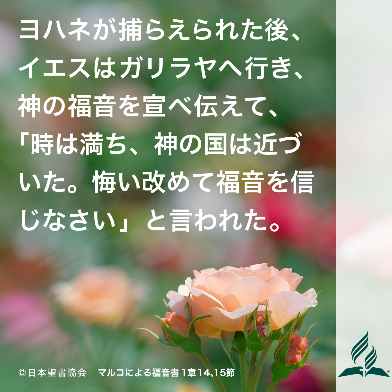 今週の暗唱聖句をお届けします