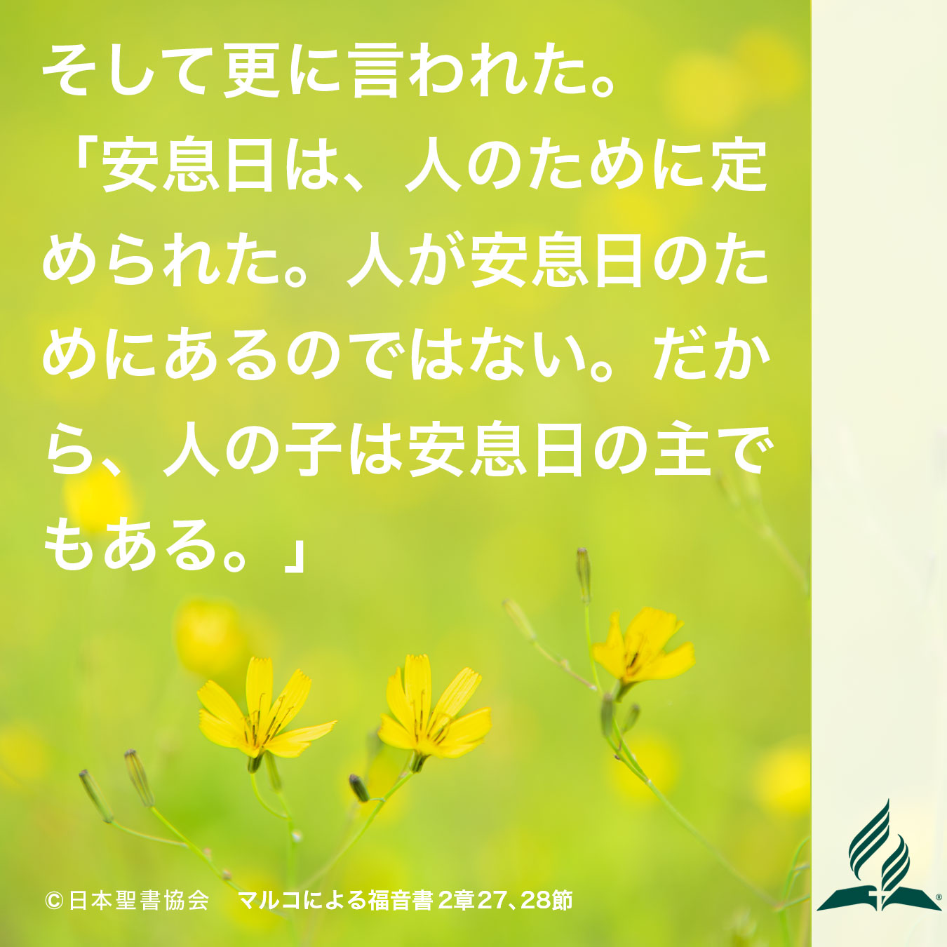 今週の暗唱聖句をお届けします