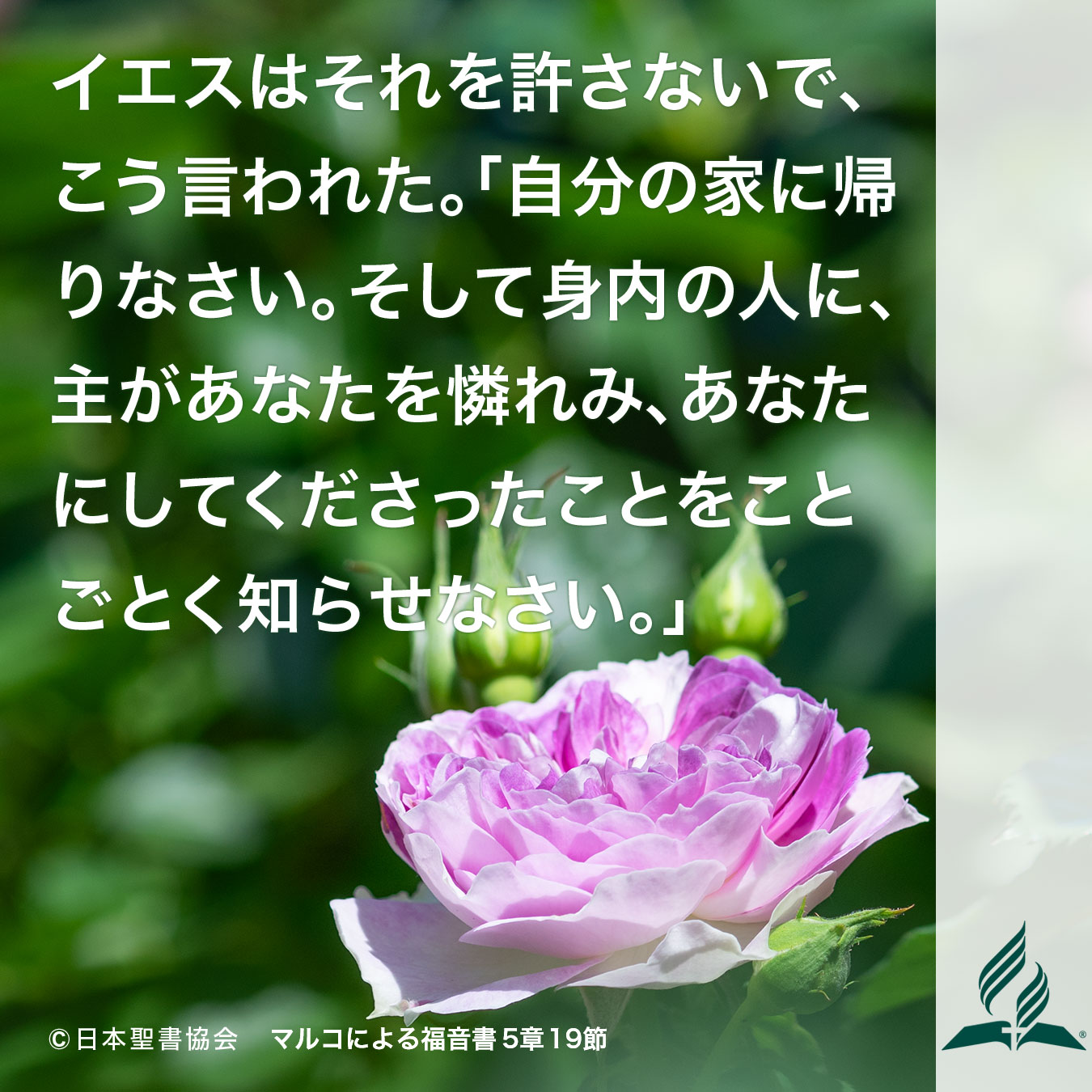 今週の暗唱聖句をお届けします