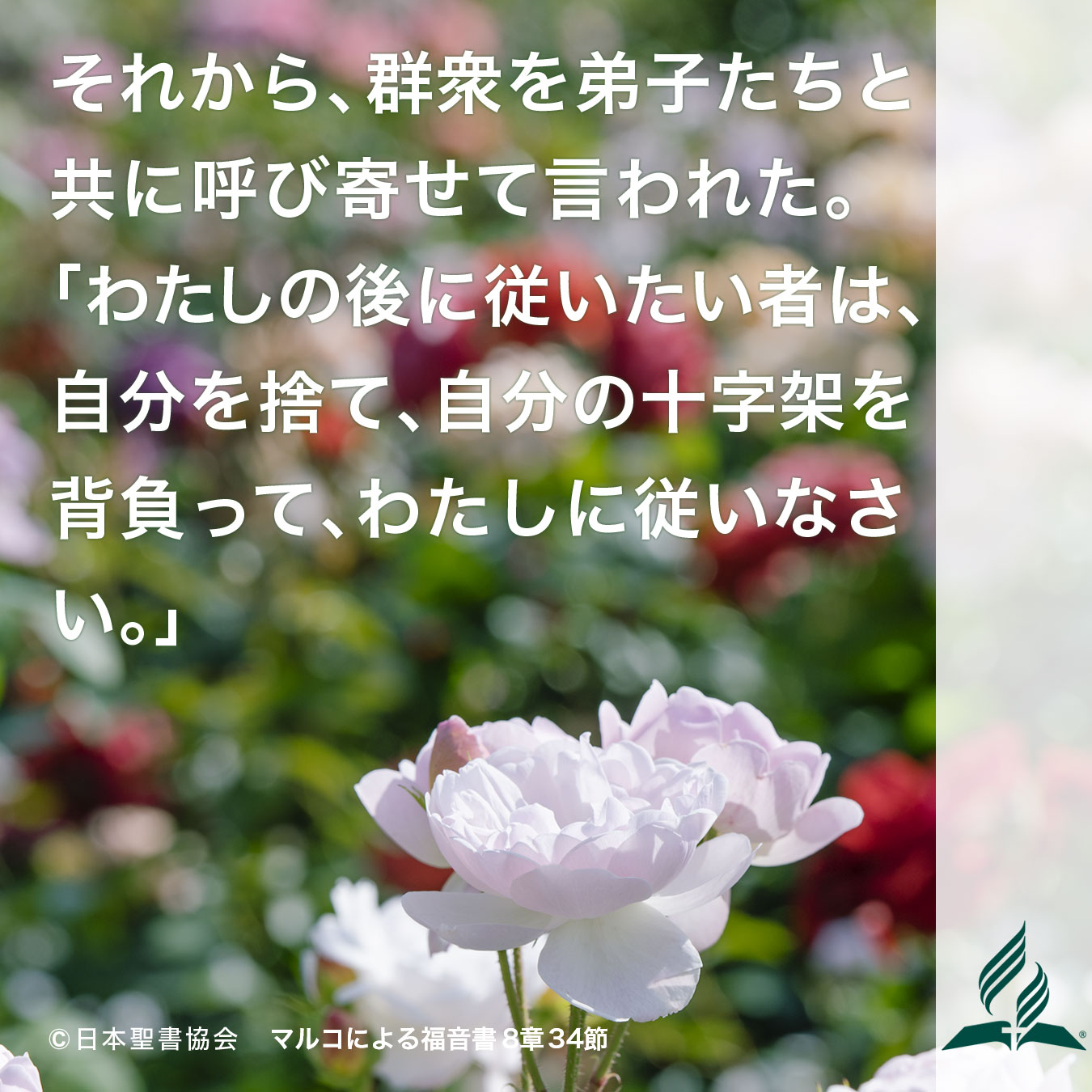 今週の暗唱聖句をお届けします