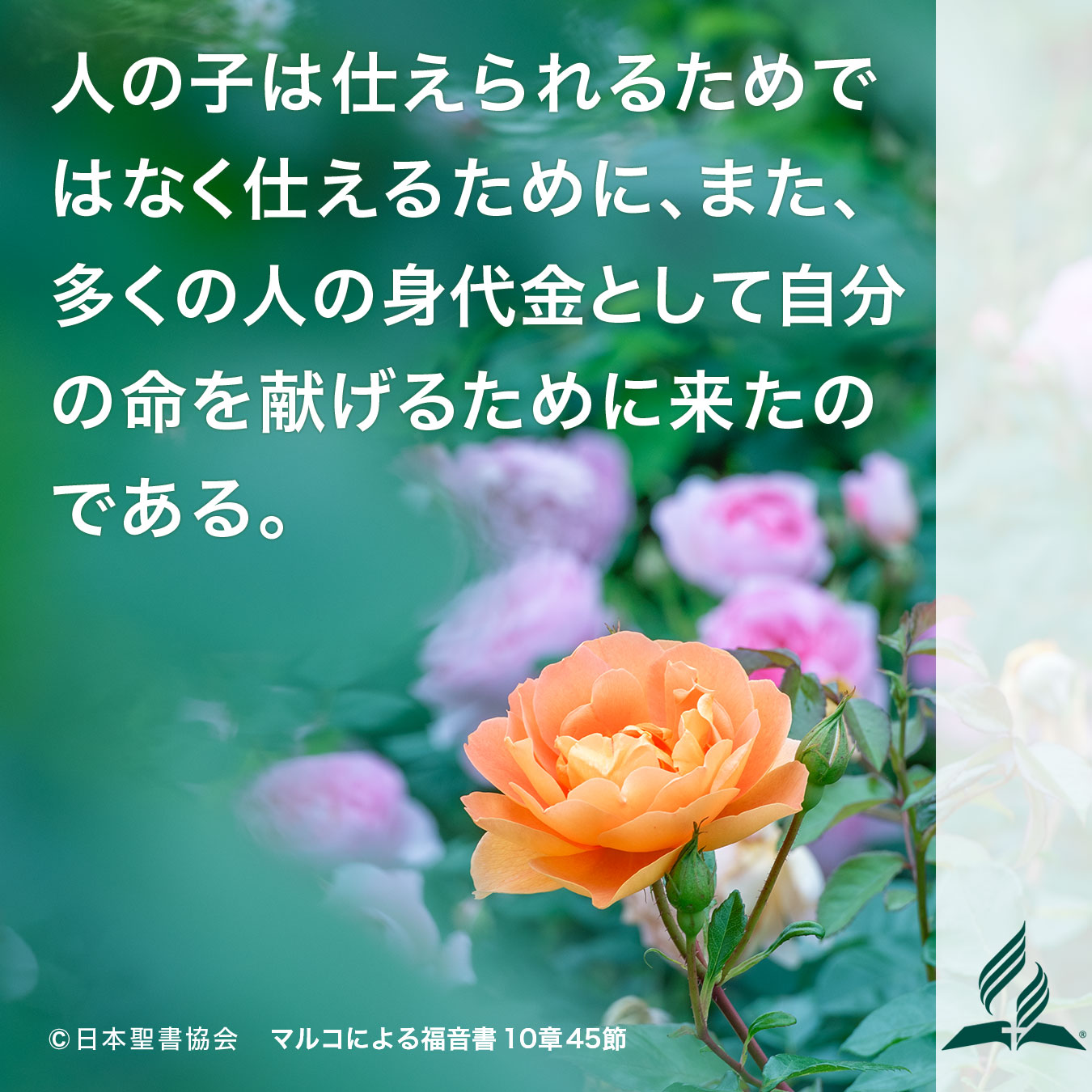 今週の暗唱聖句をお届けします