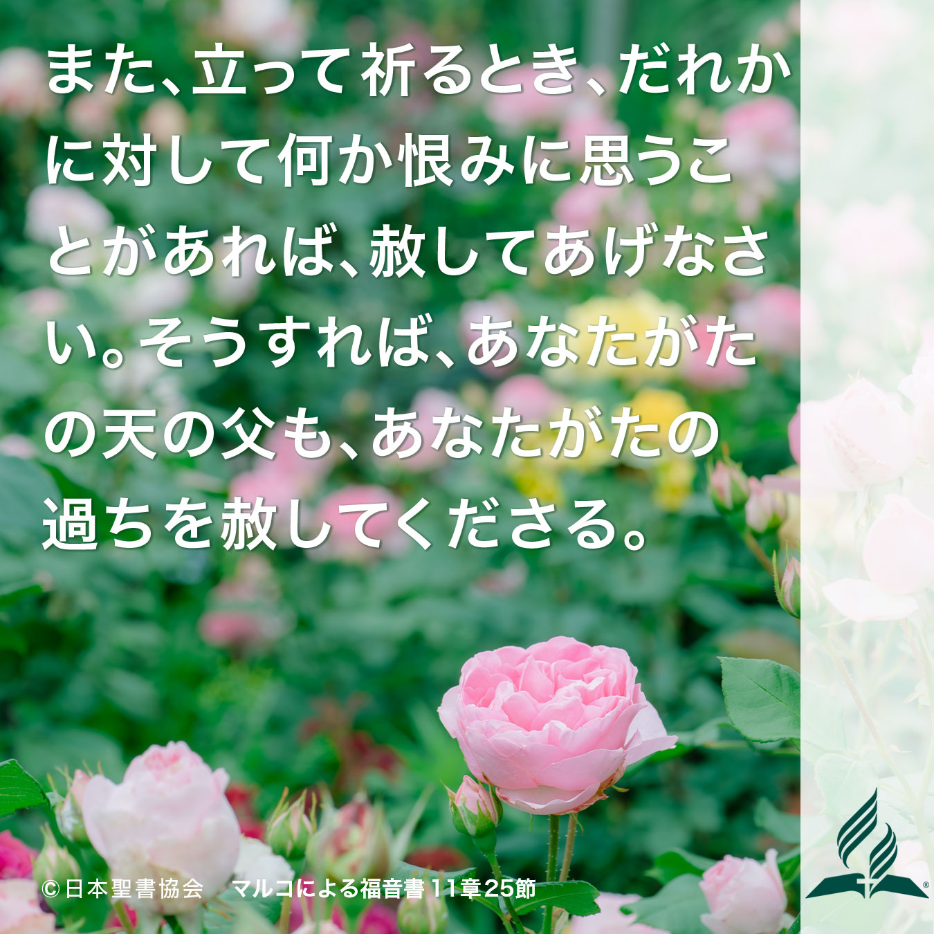 今週の暗唱聖句をお届けします