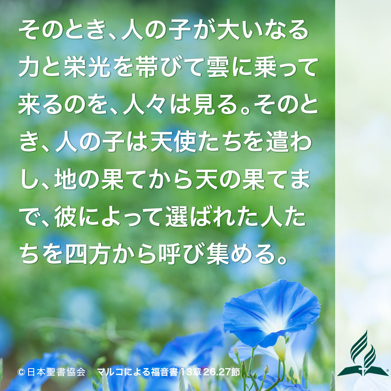今週の暗唱聖句をお届けします